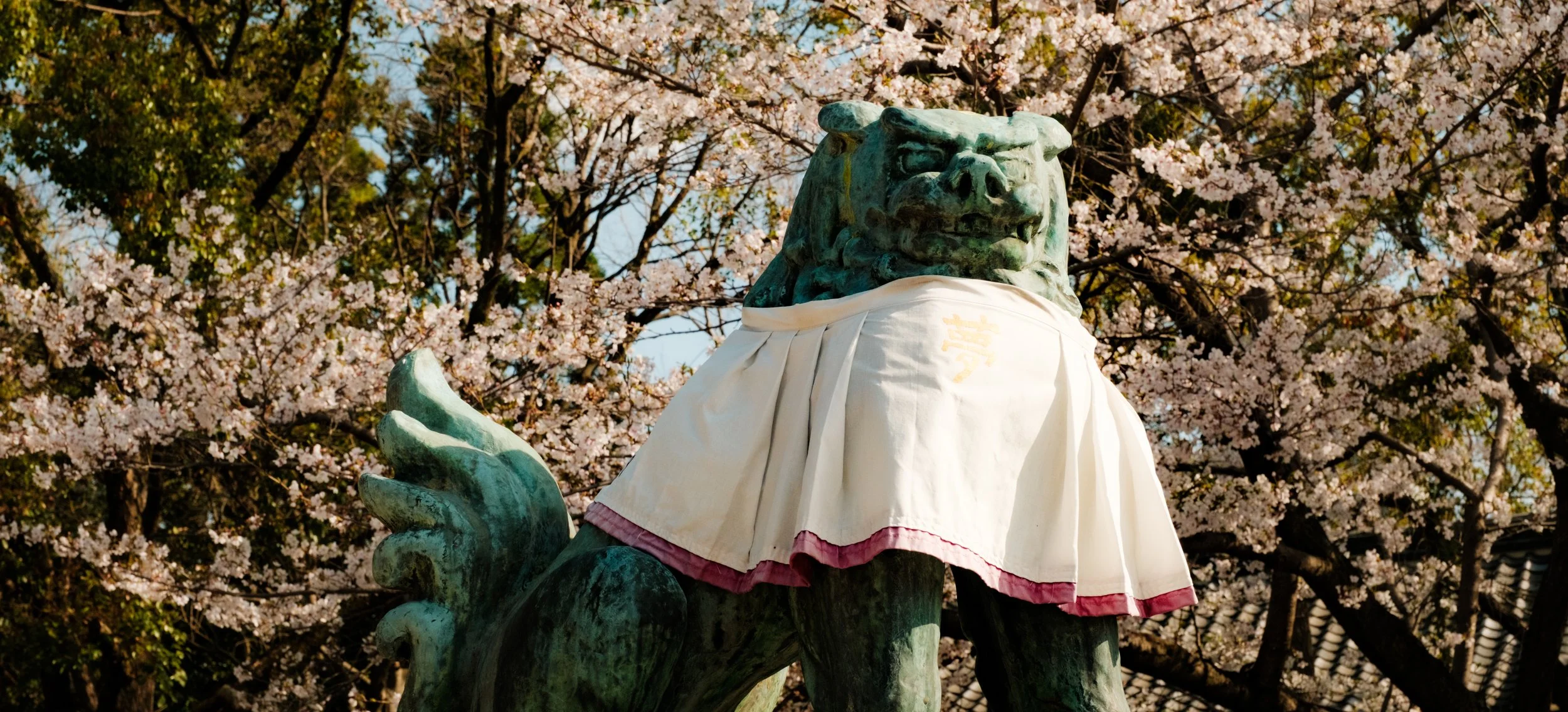 Hanami-4982.jpg