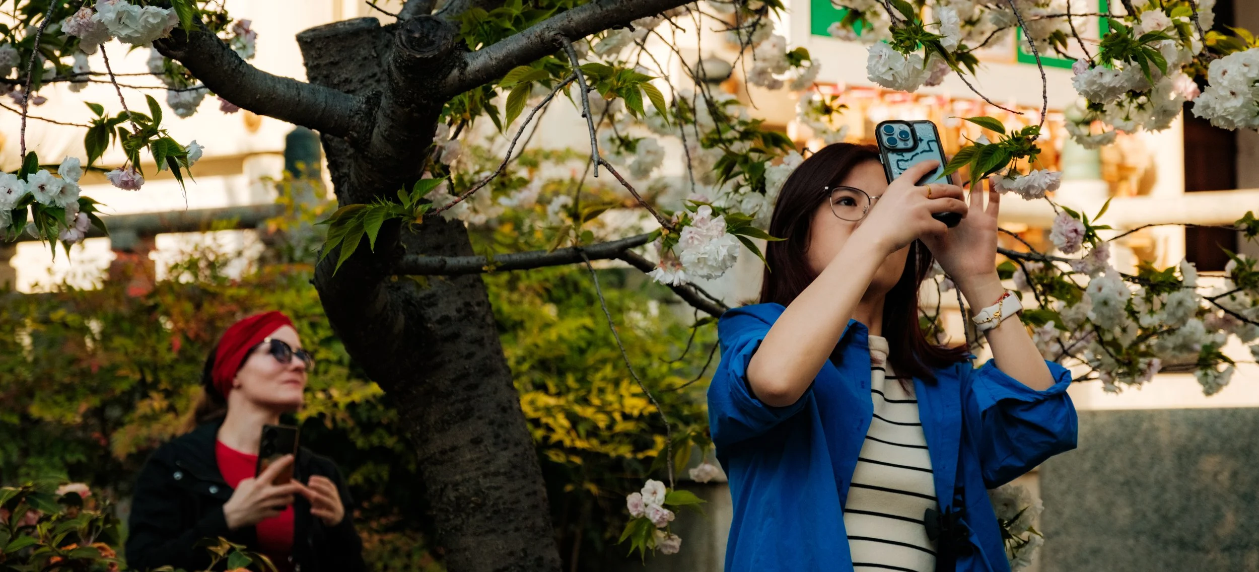 Hanami-6278.jpg