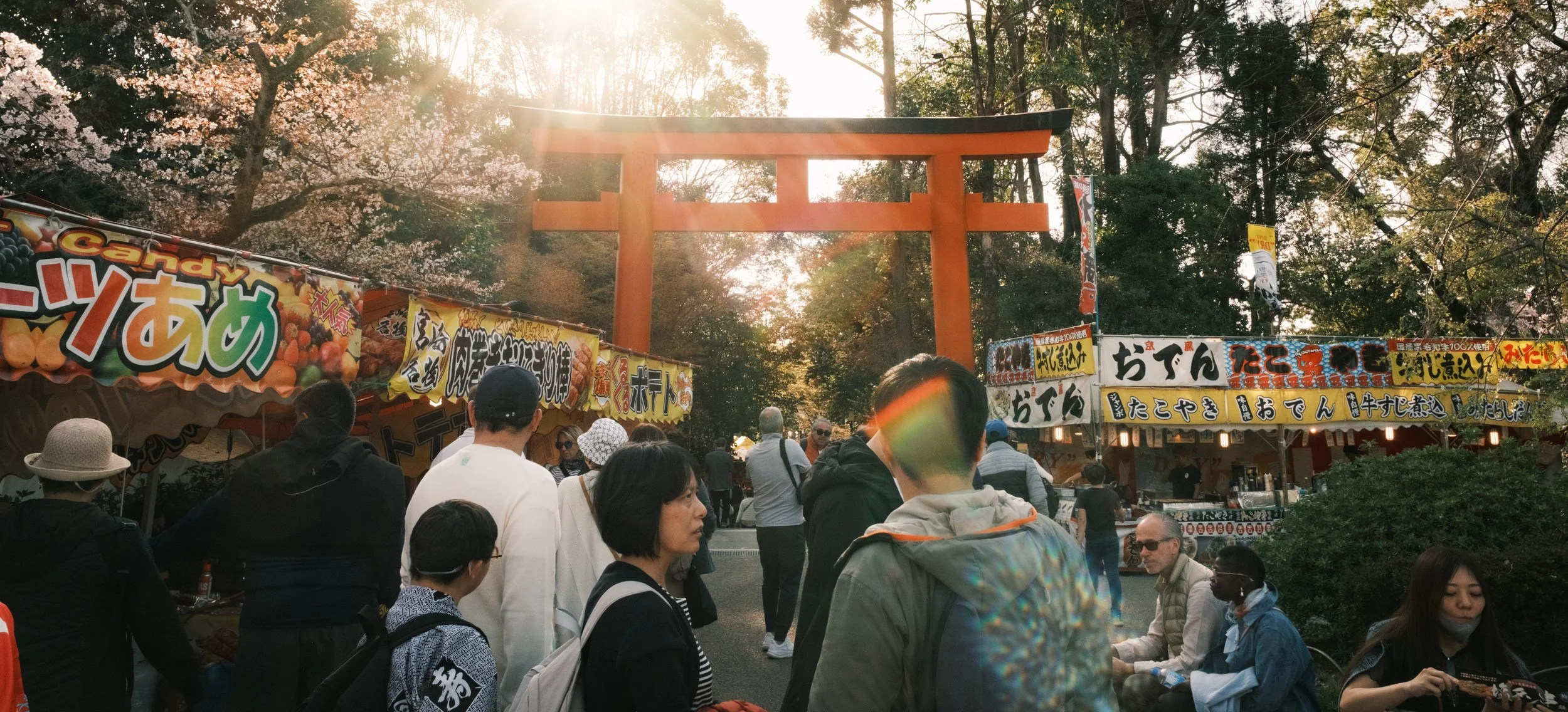 Hanami-7312.jpg