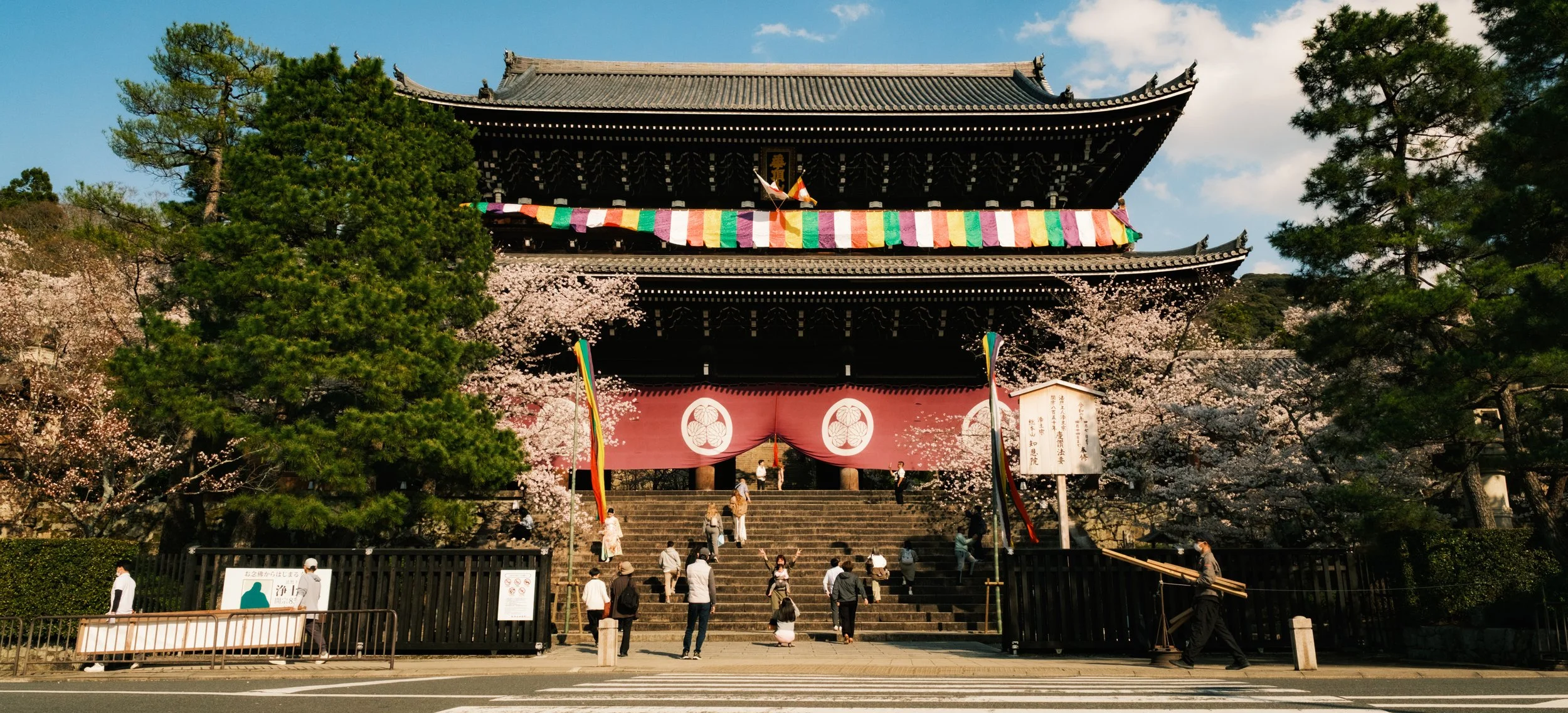 Hanami-7264.jpg