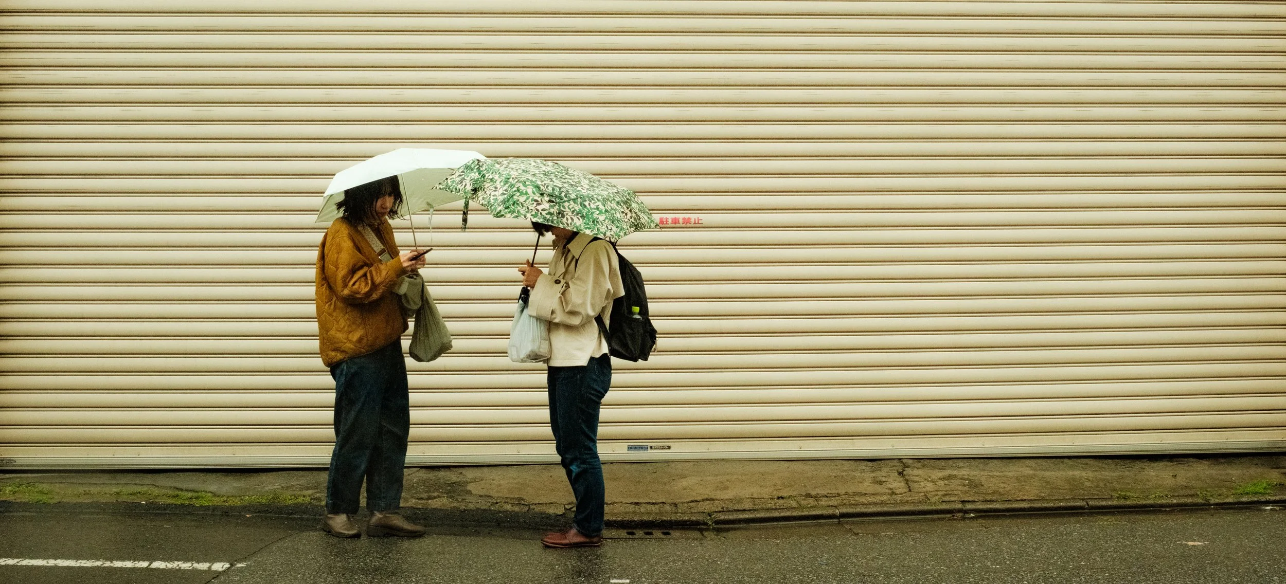 Hanami-1236.jpg