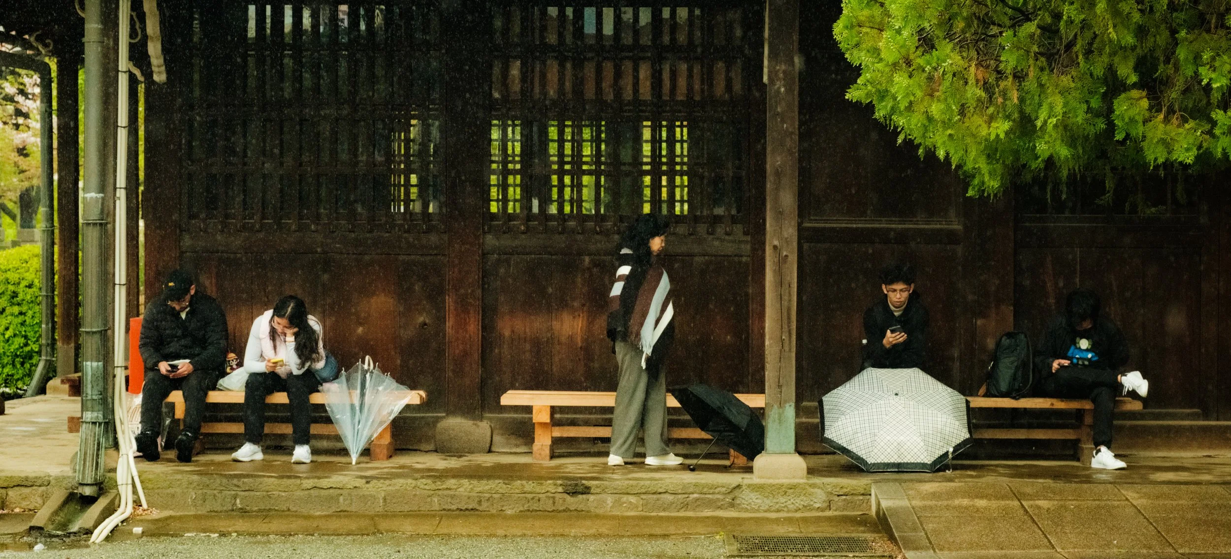 Hanami-10483.jpg