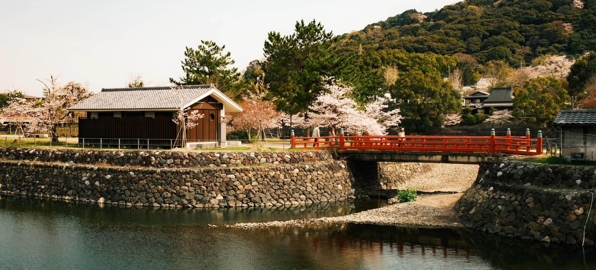 Hanami-7514.jpg