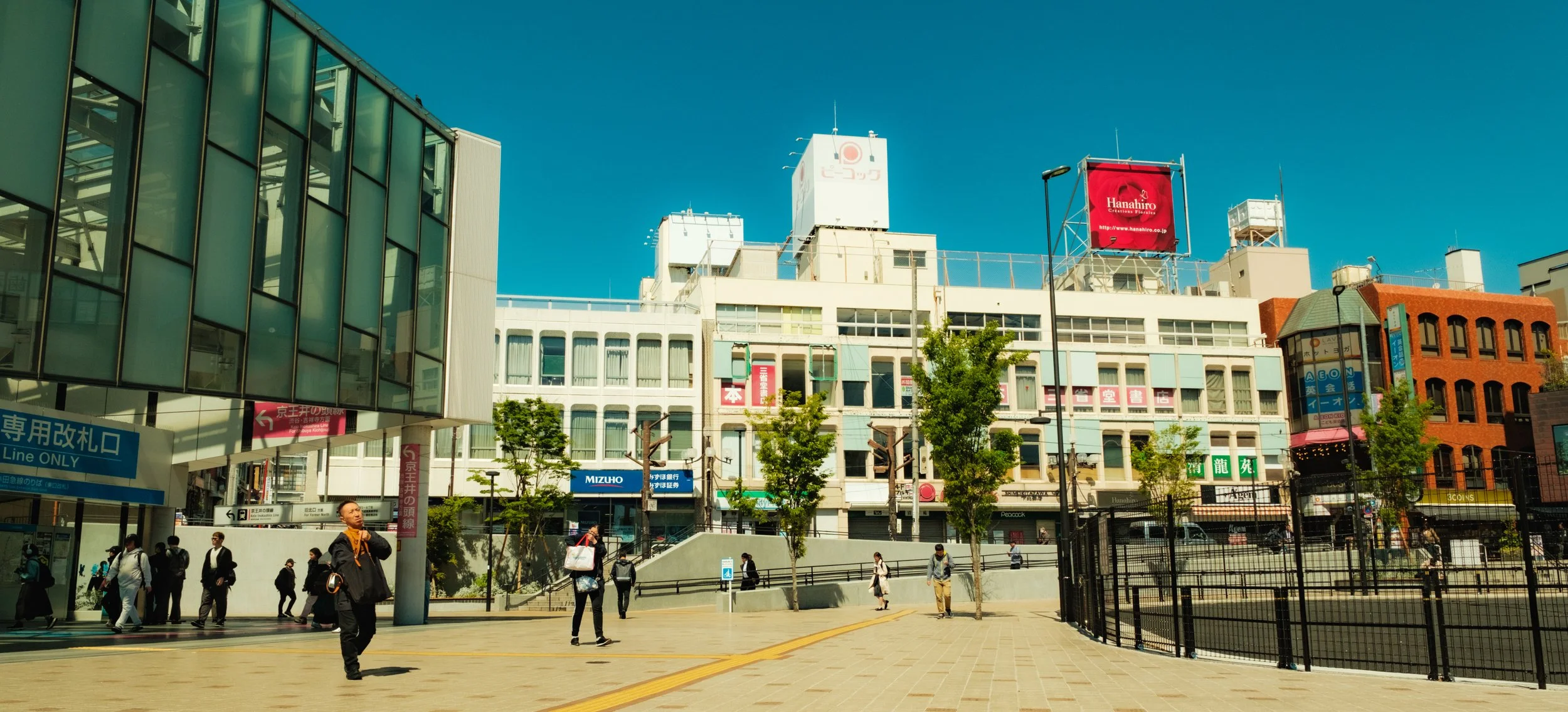 Hanami-11621.jpg