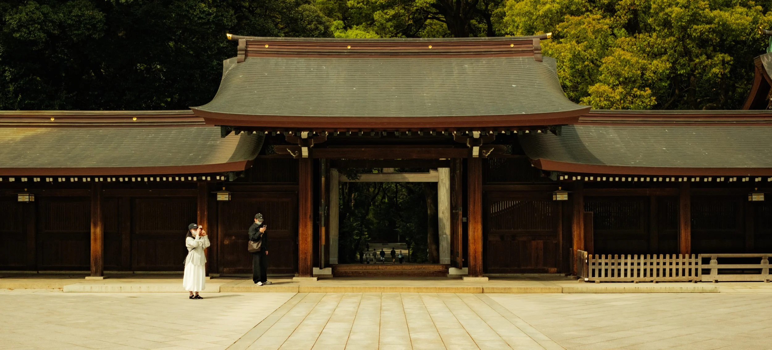 Hanami-12011.jpg