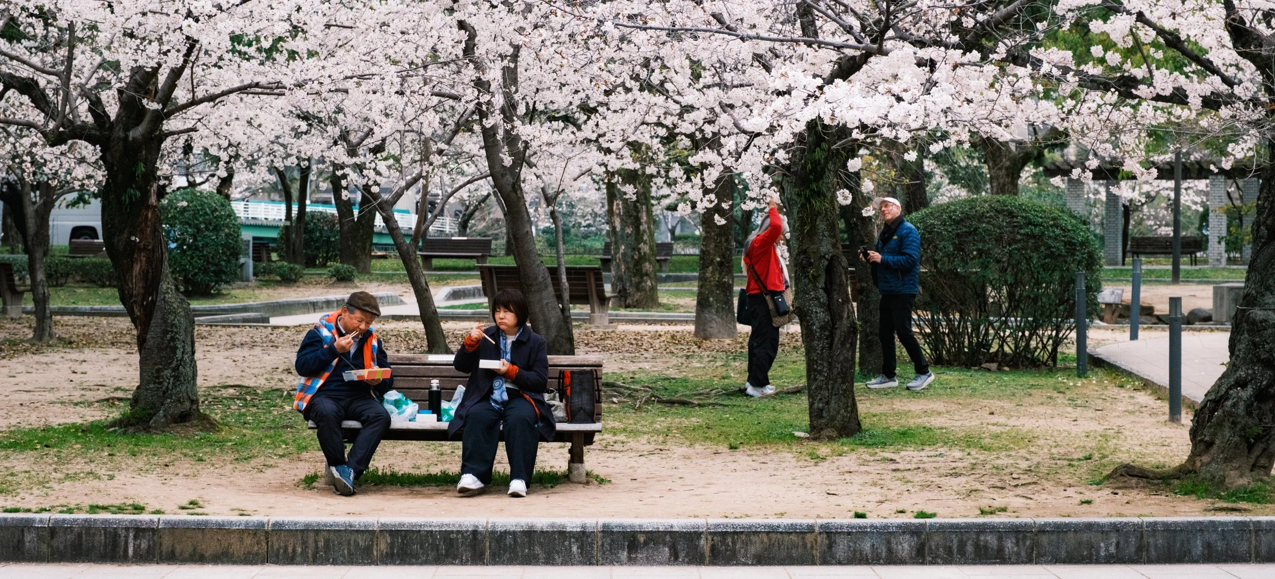 Hanami-3180.jpg
