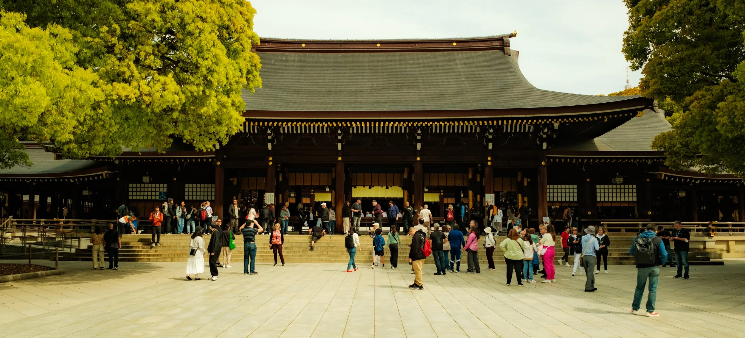 Hanami-12009.jpg