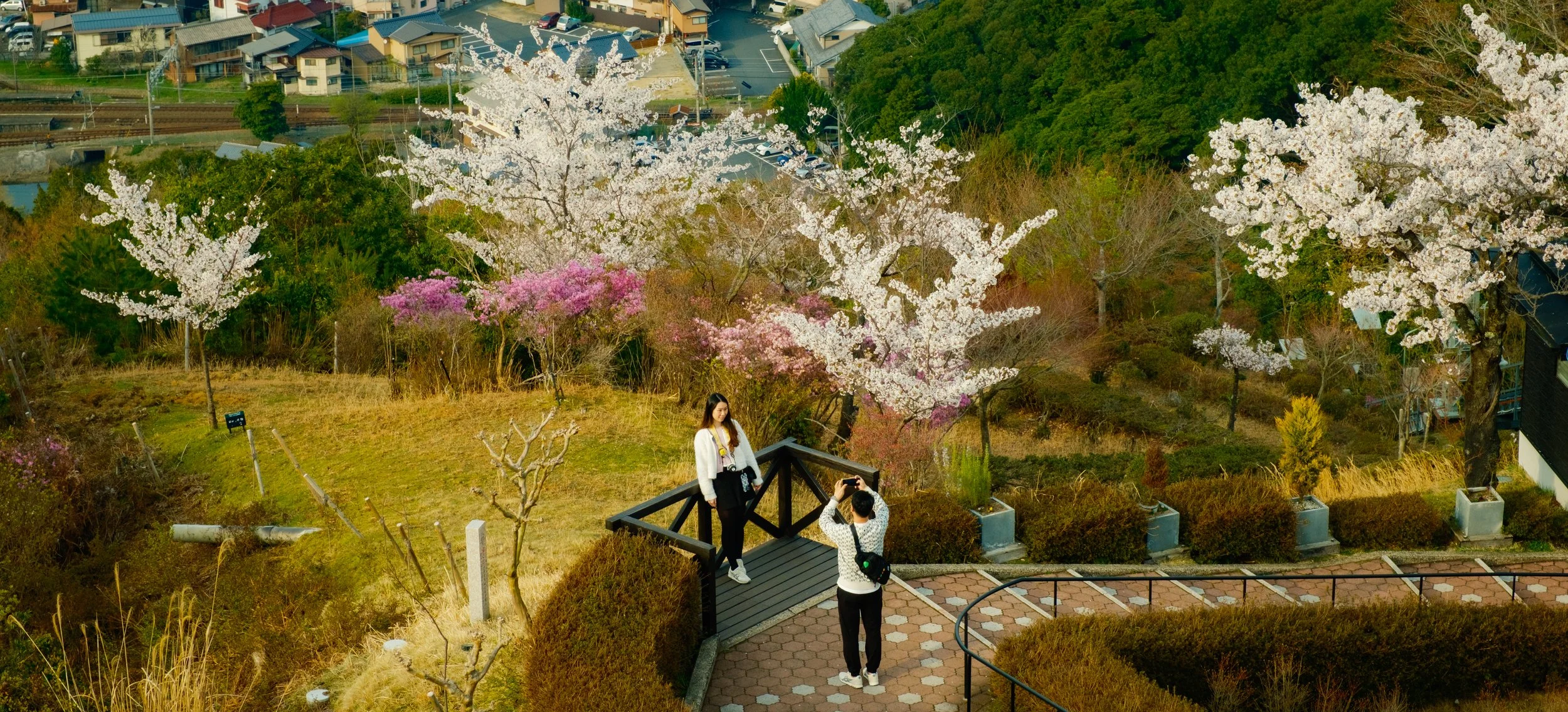 Hanami-9158.jpg