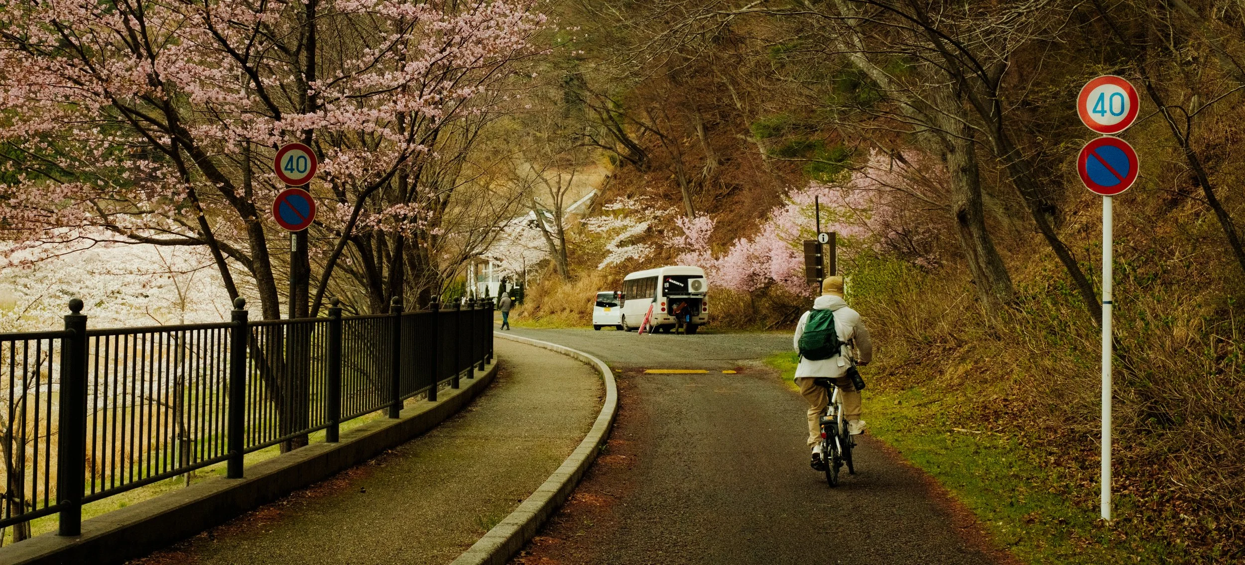 Hanami-11263.jpg