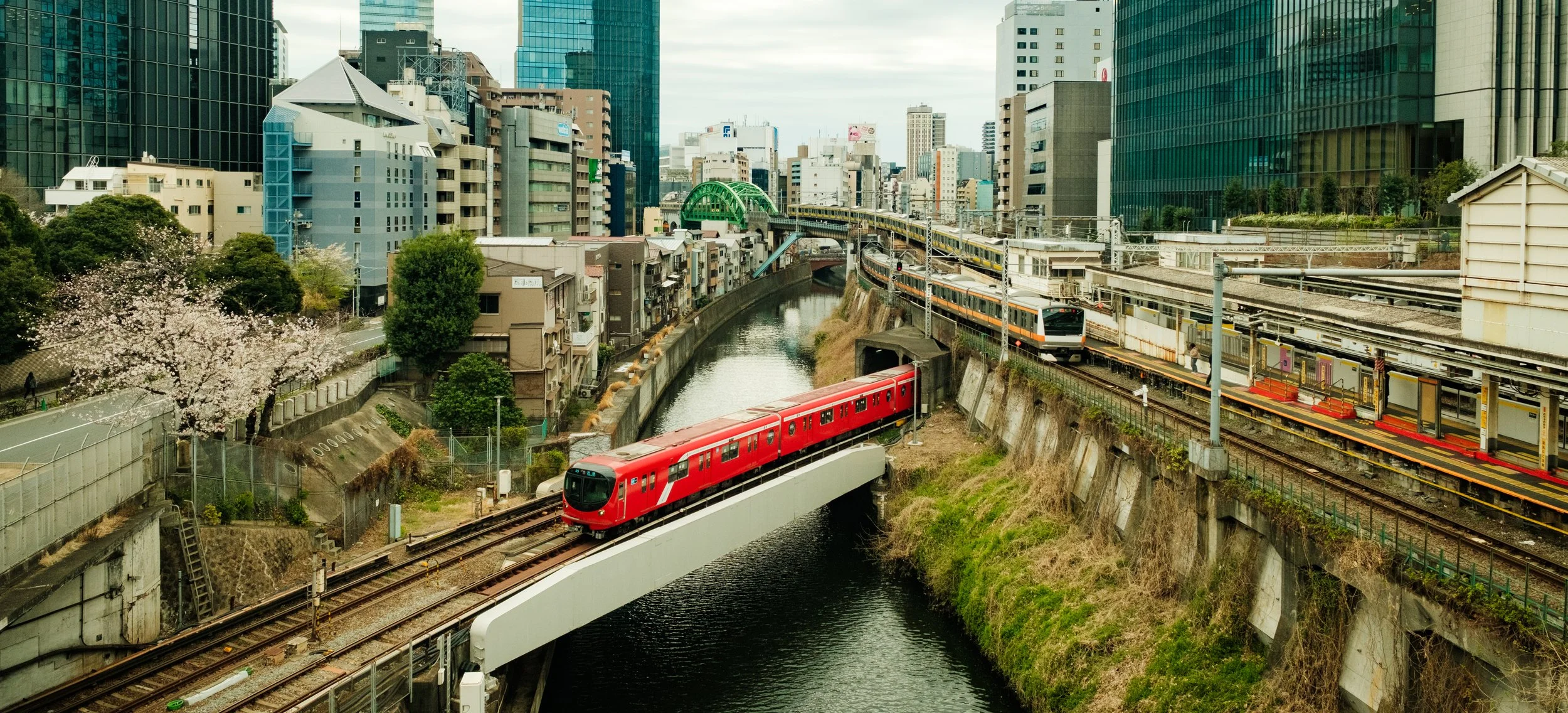 Hanami-2299.jpg