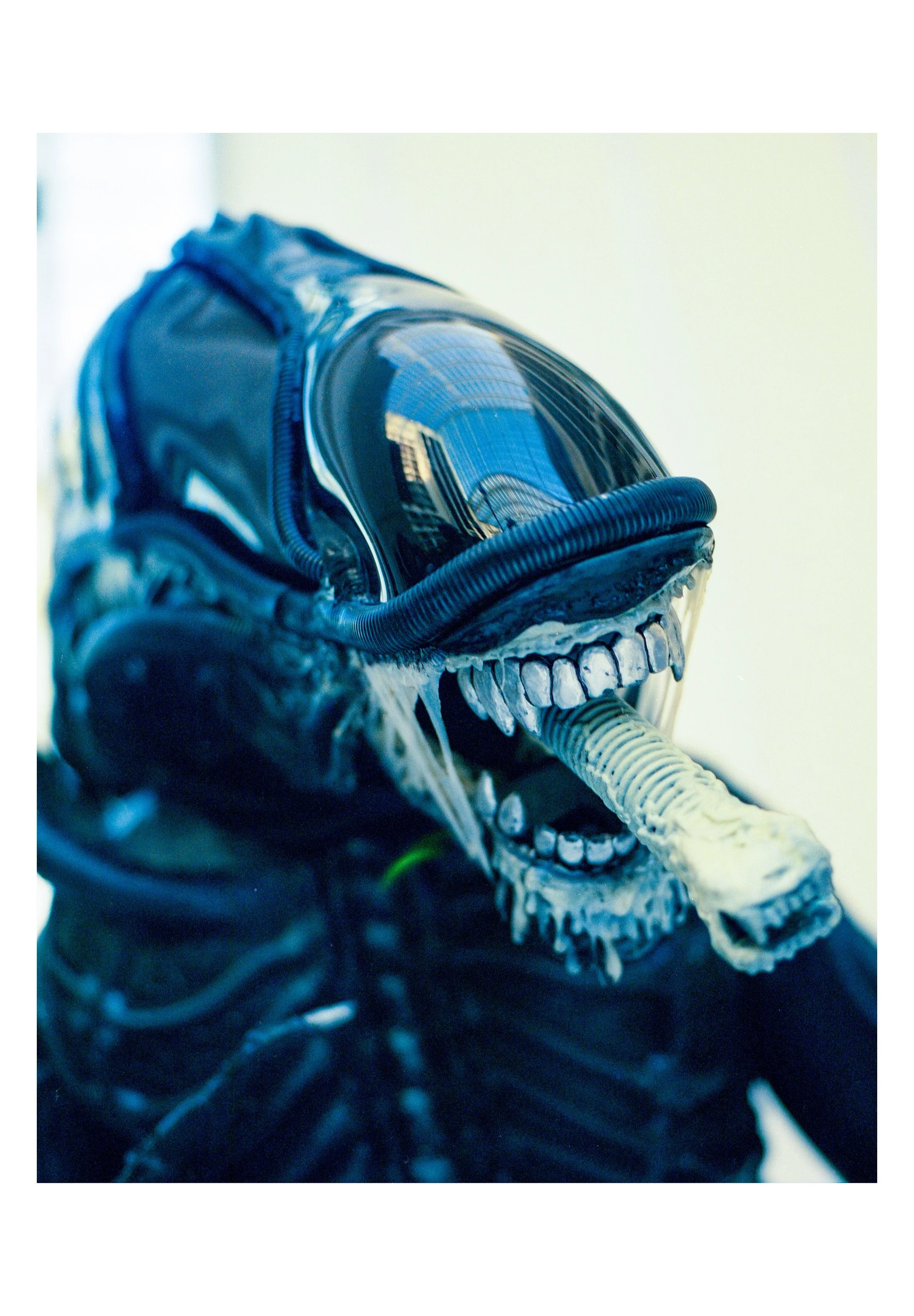 Katsucon 2026 IG-190.jpeg