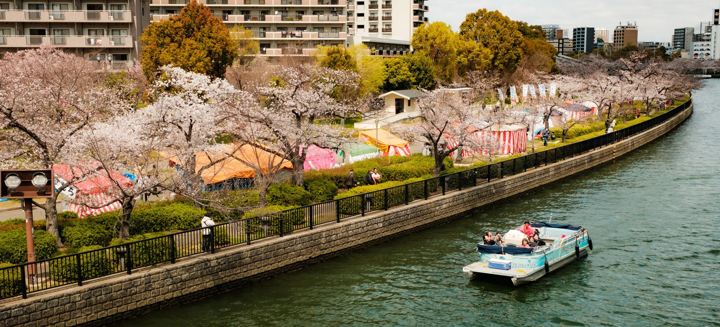 Hanami-4784.jpg