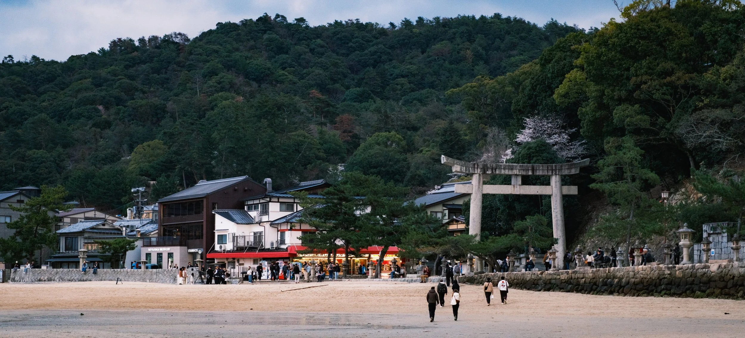 Hanami-3986.jpg