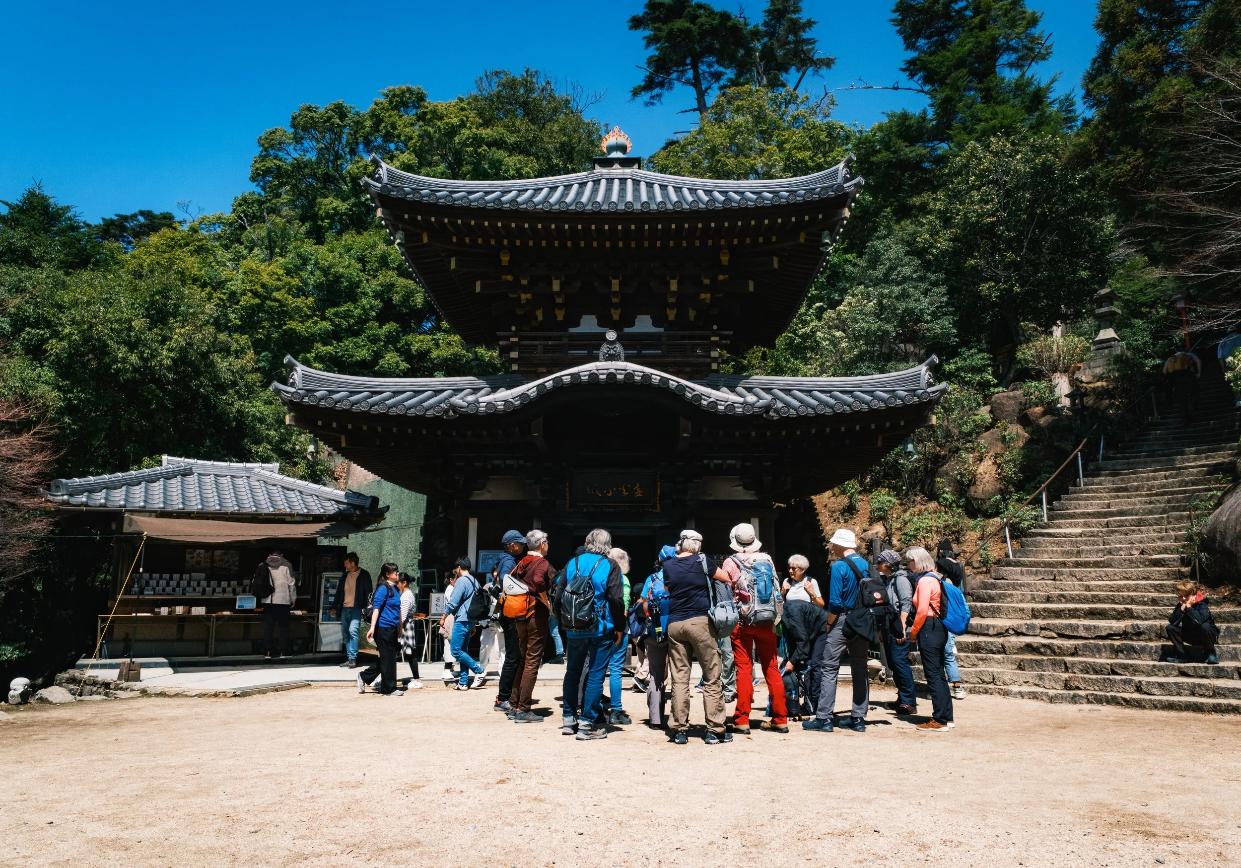Hanami-3636.jpg