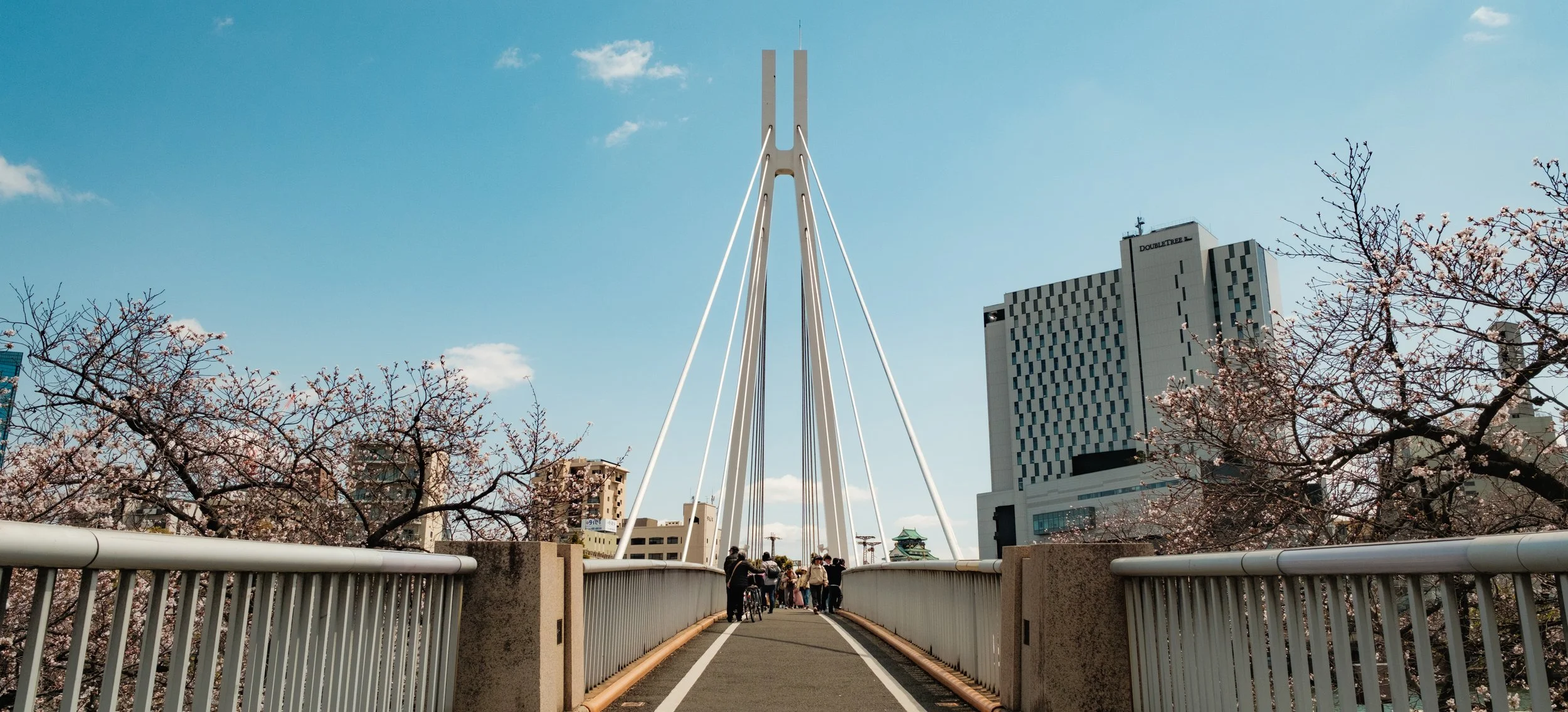 Hanami-4768.jpg