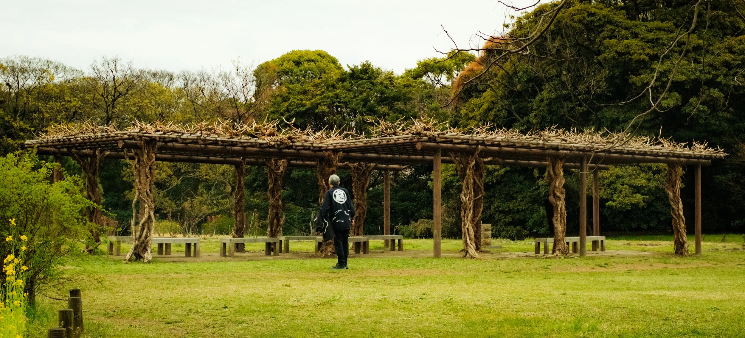 Hanami-2831.jpg