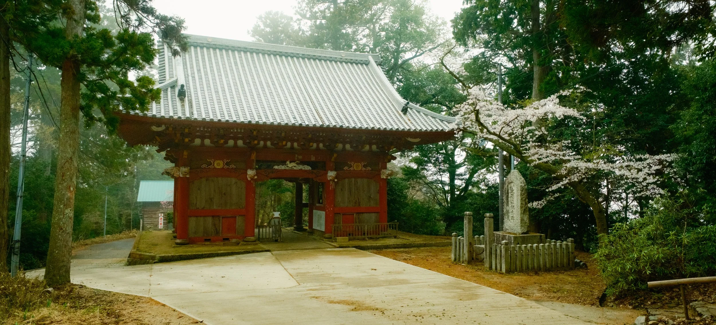 Hanami-9467.jpg
