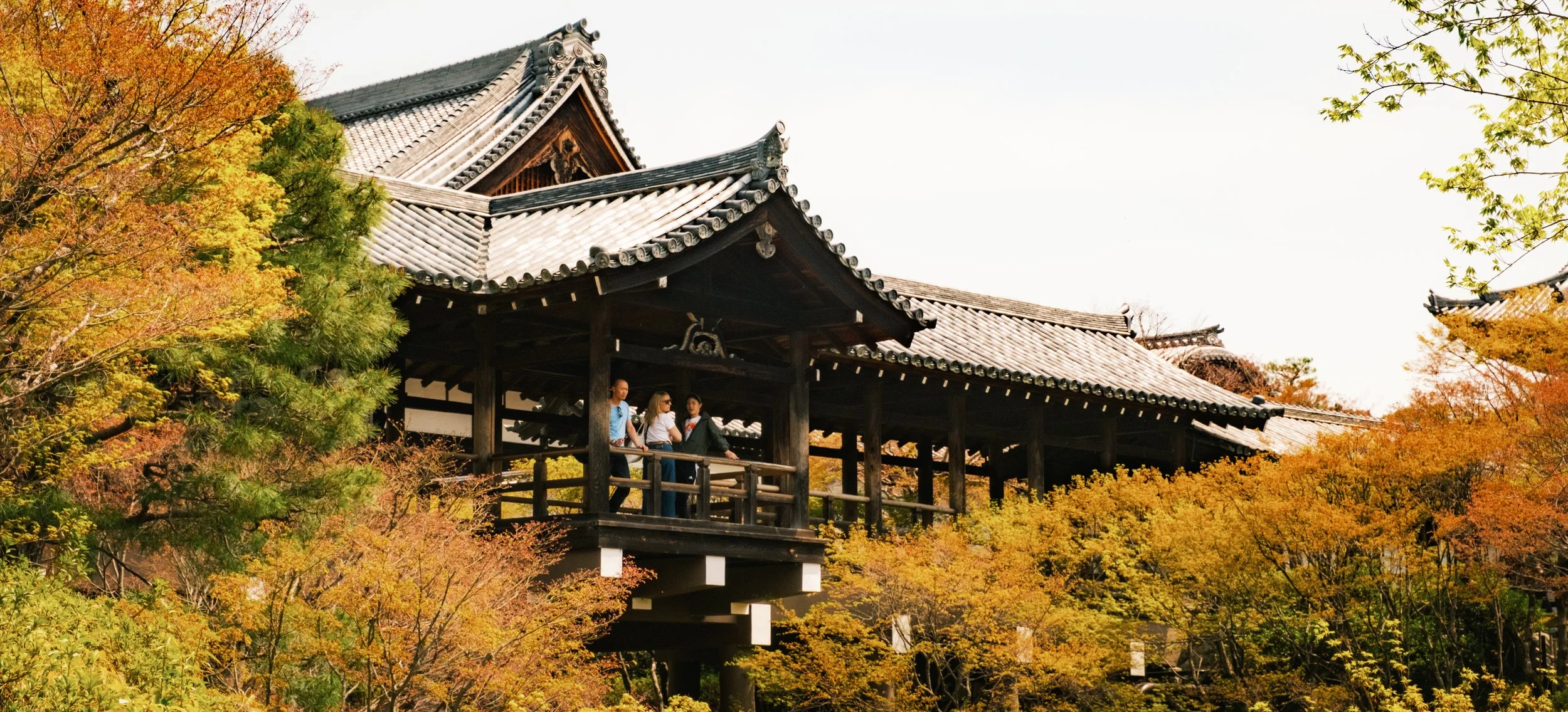 Hanami-7660.jpg