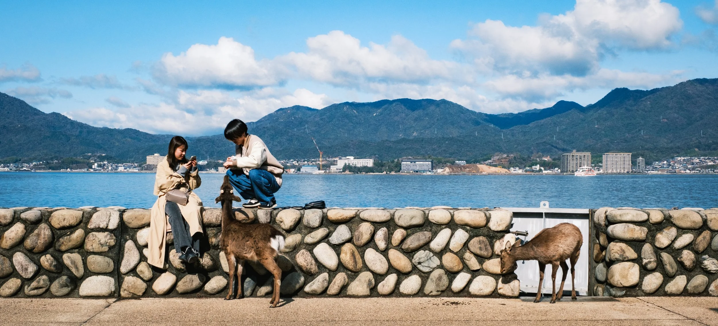 Hanami-3407.jpg