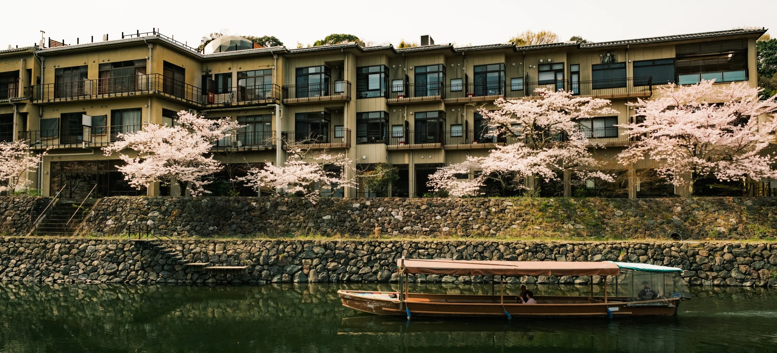 Hanami-7511.jpg