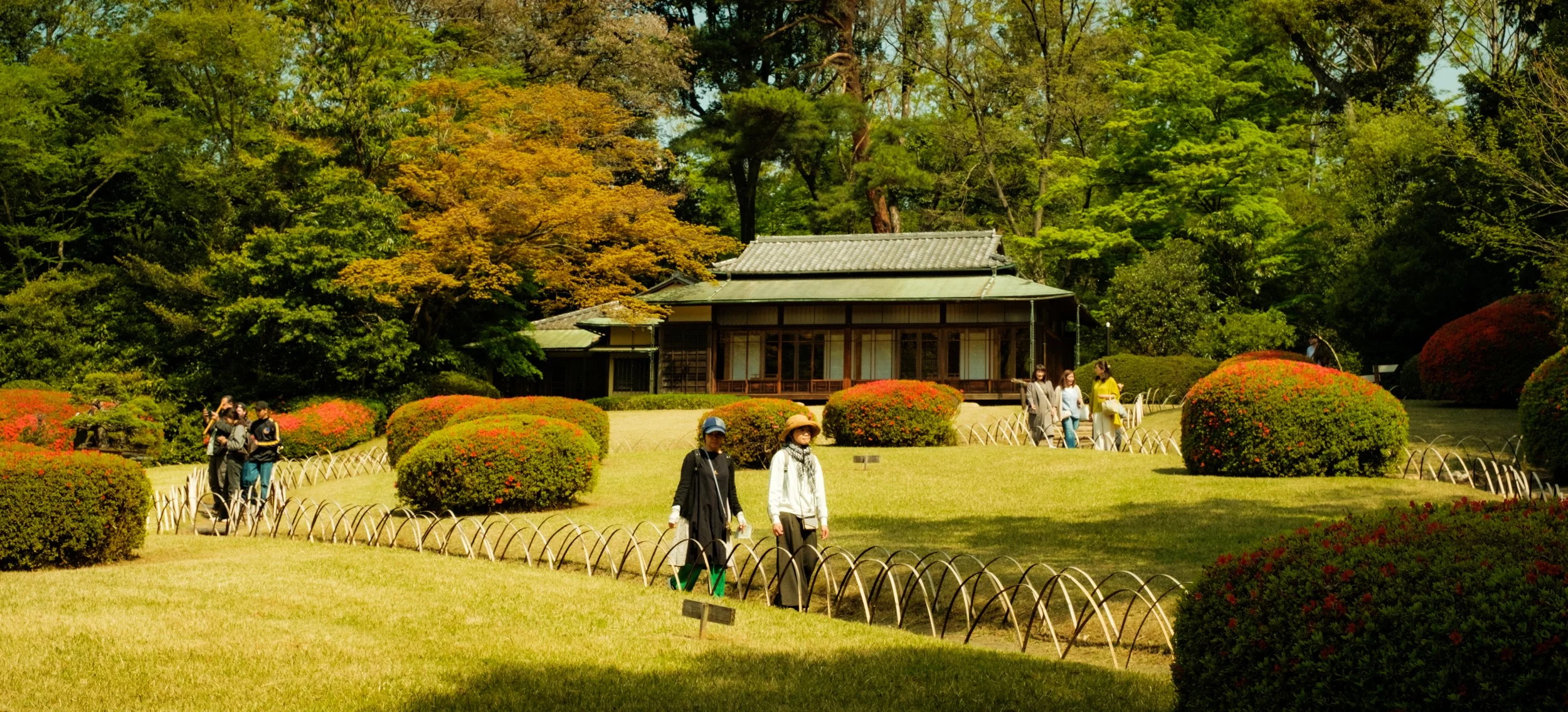 Hanami-12055.jpg