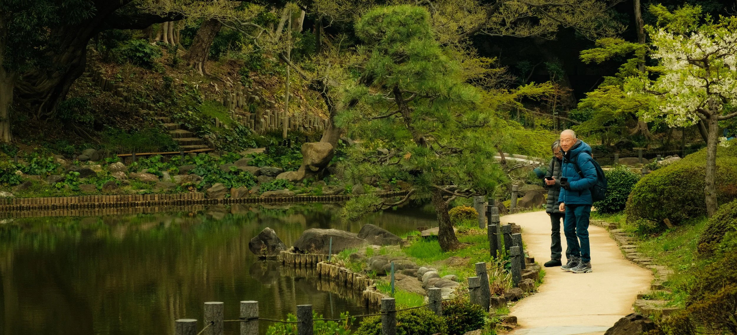 Hanami-2420.jpg