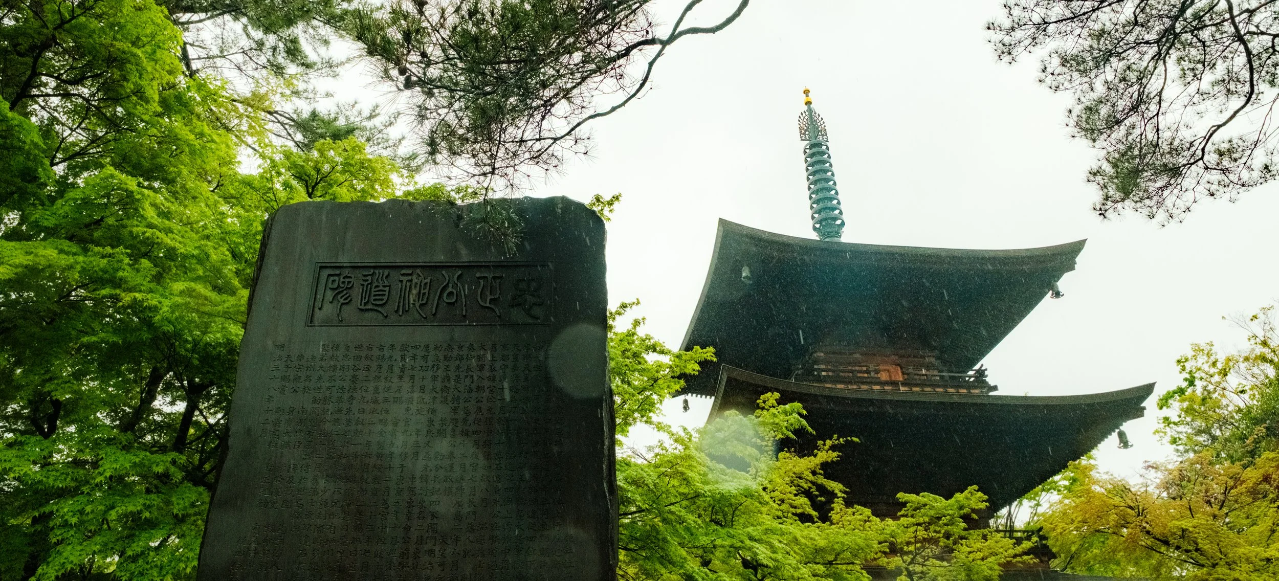 Hanami-10498.jpg
