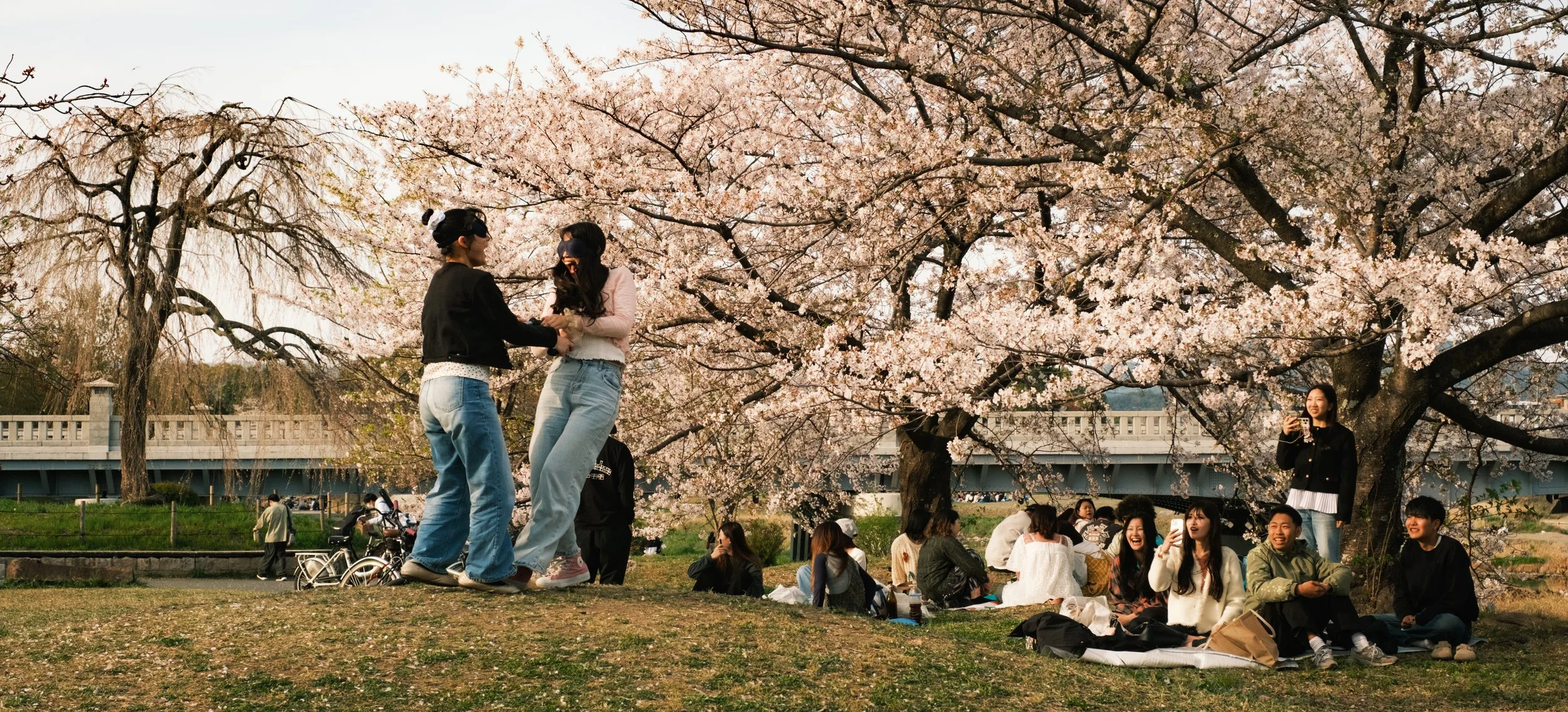 Hanami-8465.jpg