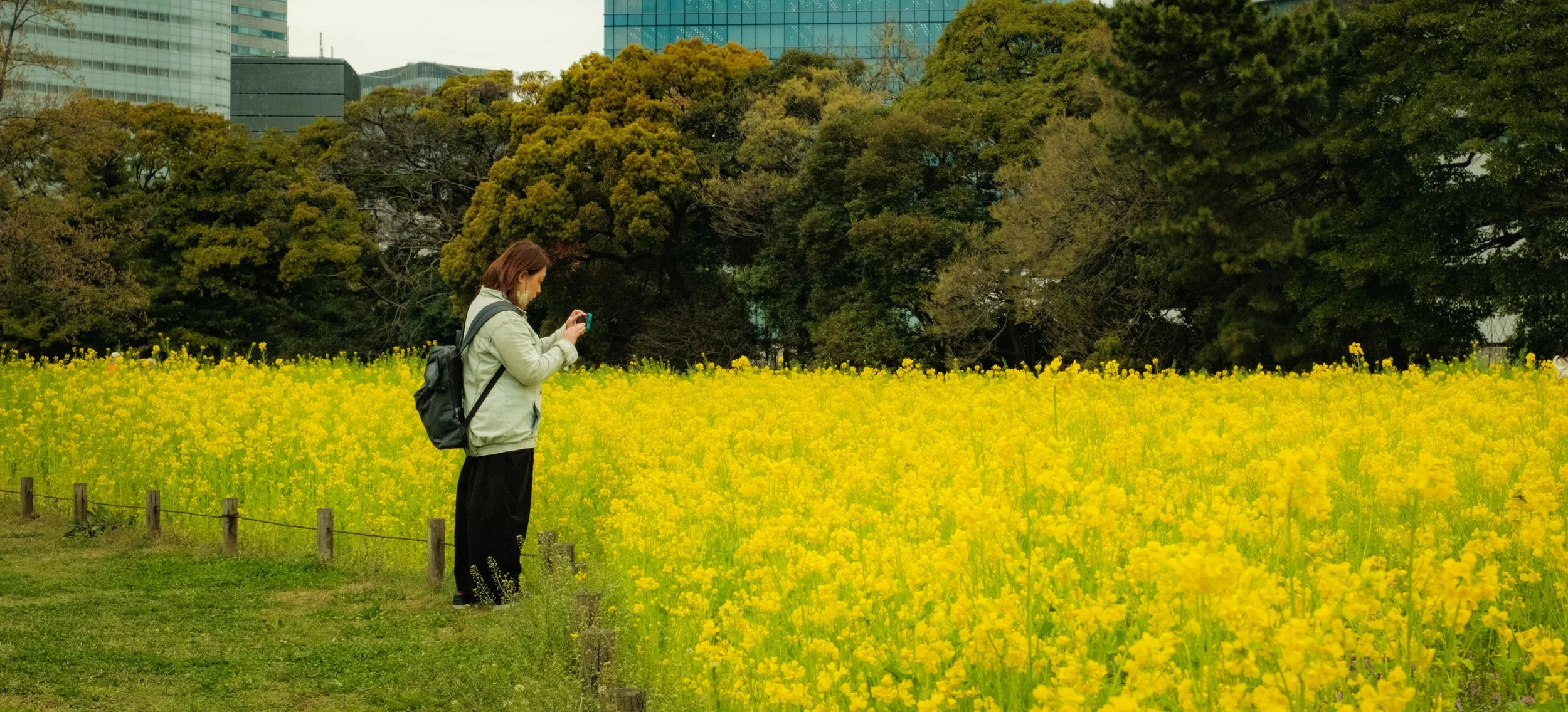Hanami-2836.jpg