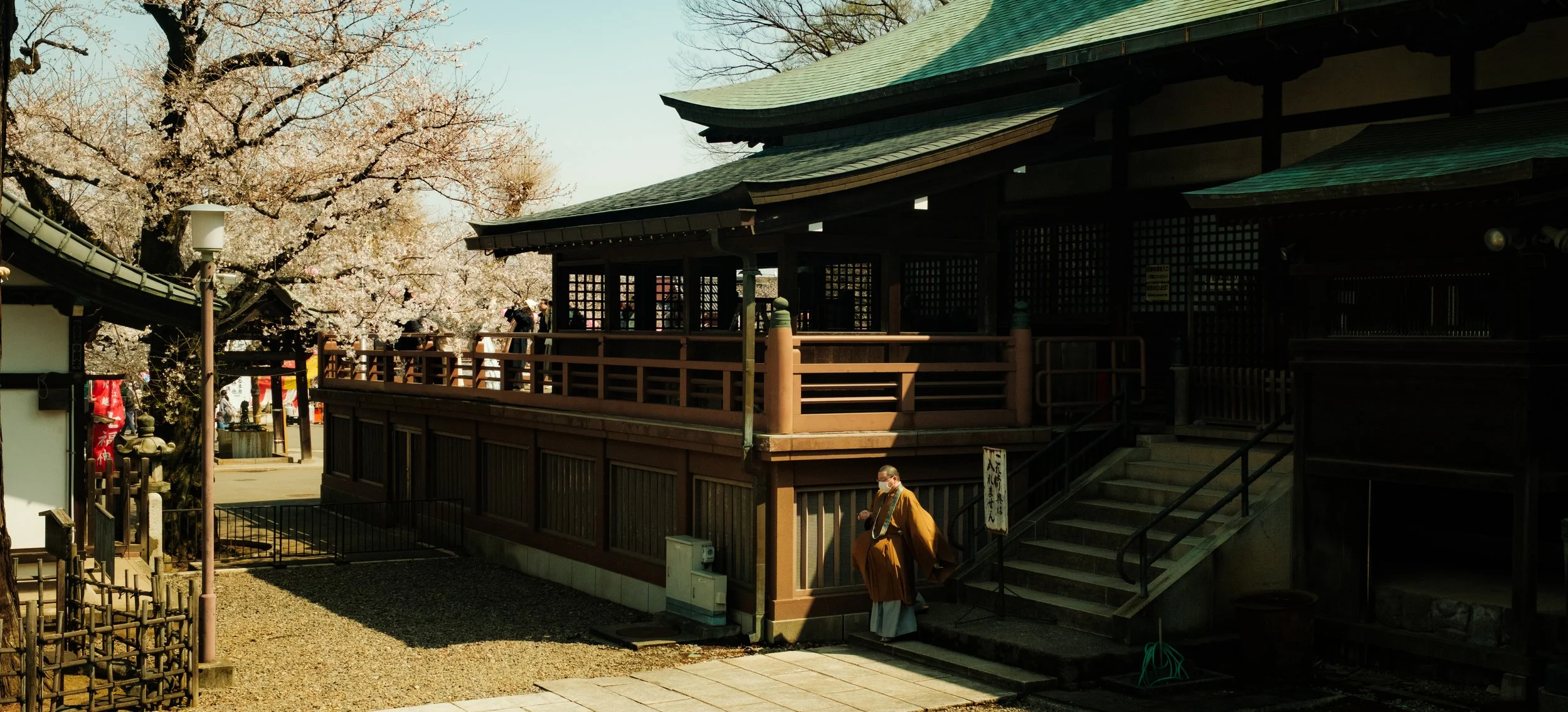 Hanami-1964.jpg