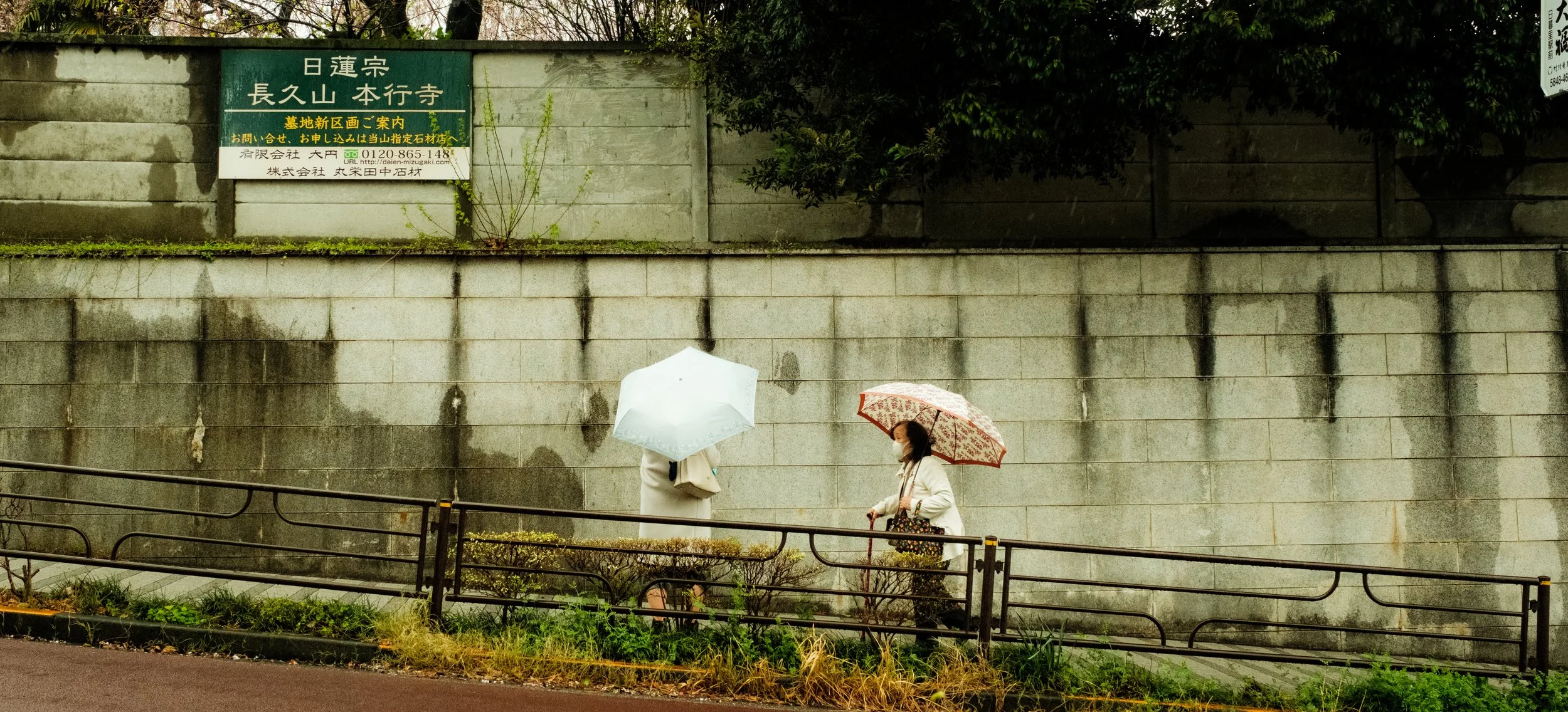Hanami-1166.jpg