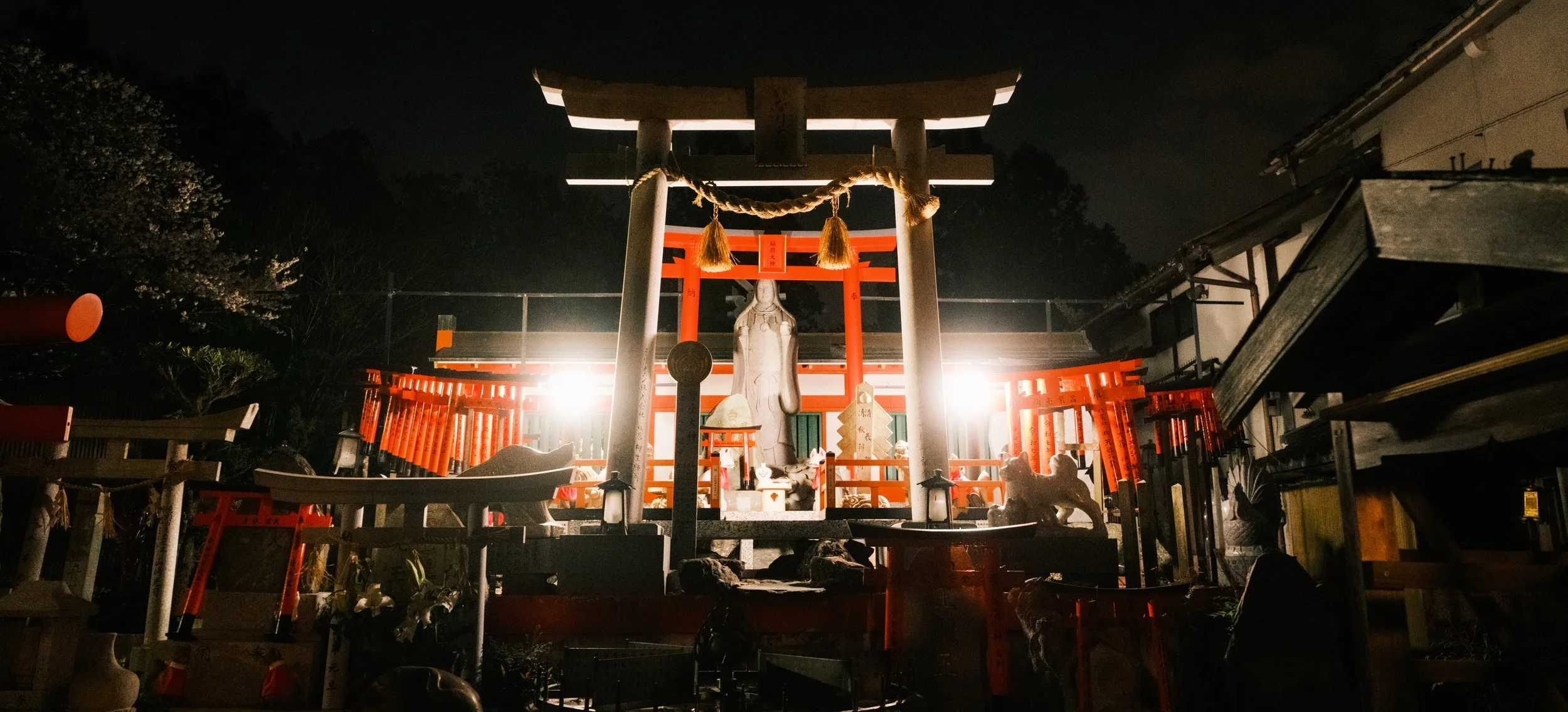 Hanami-8136.jpg