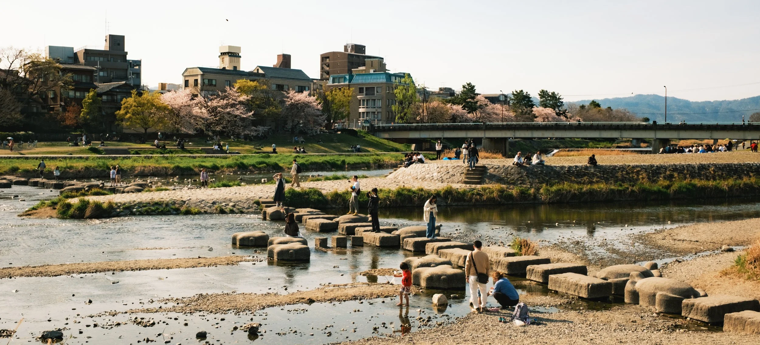 Hanami-8372.jpg