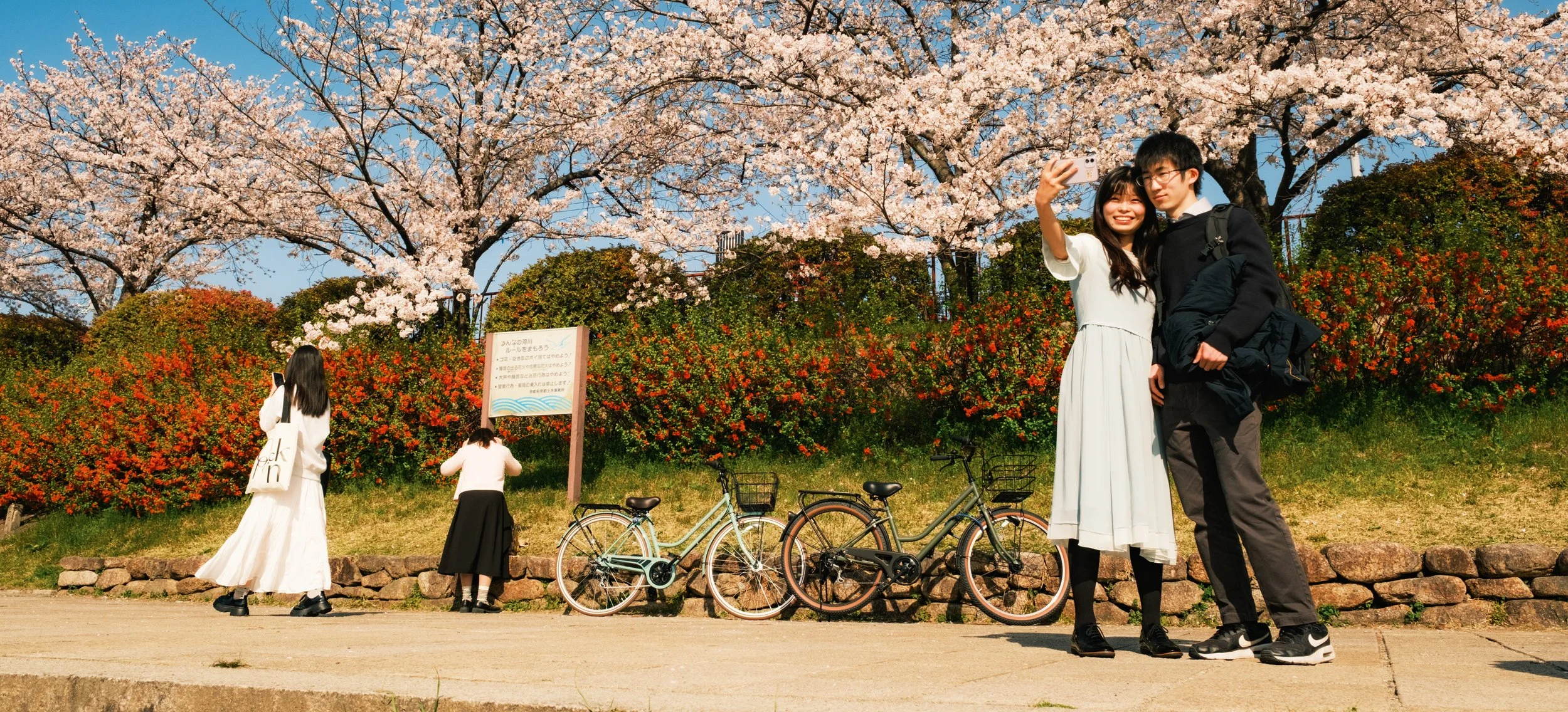 Hanami-8373.jpg