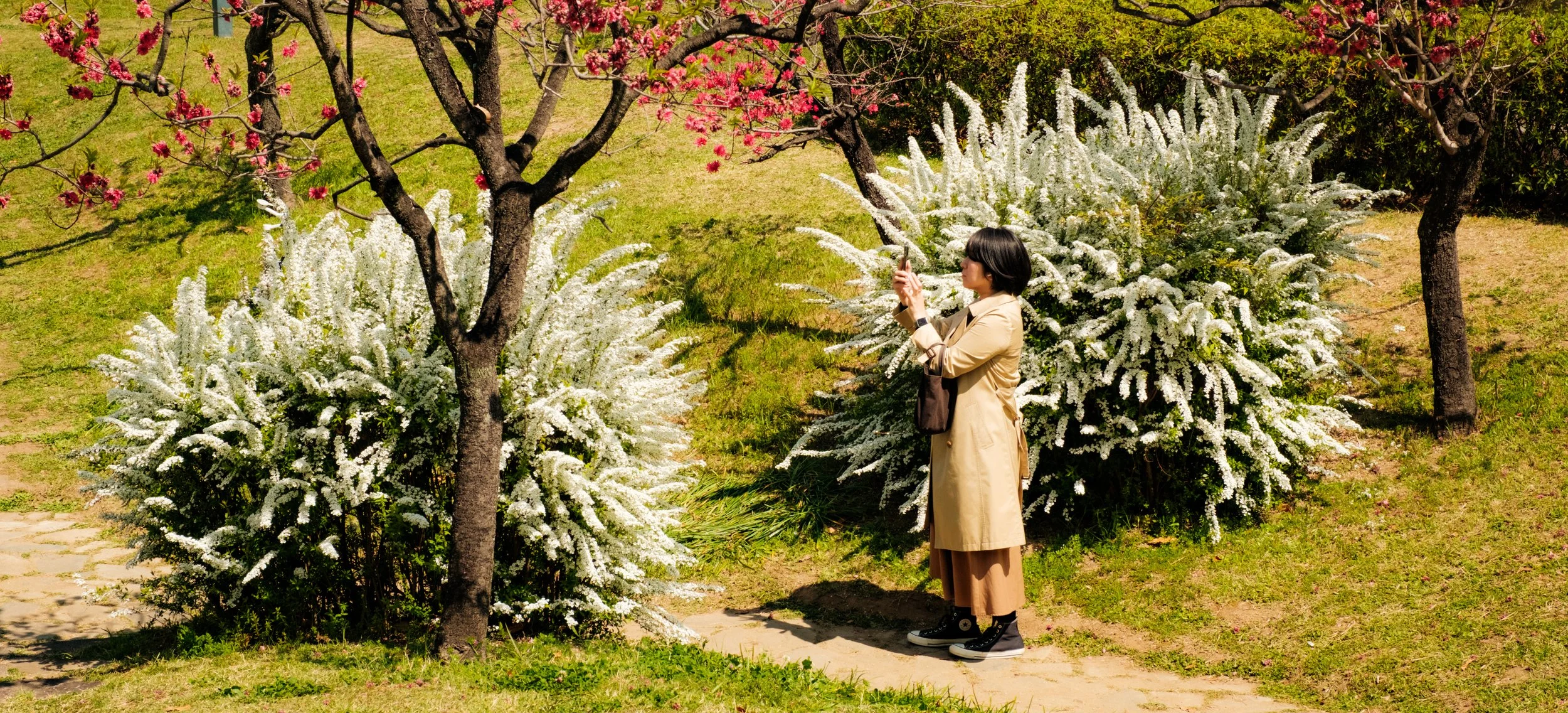 Hanami-4842.jpg