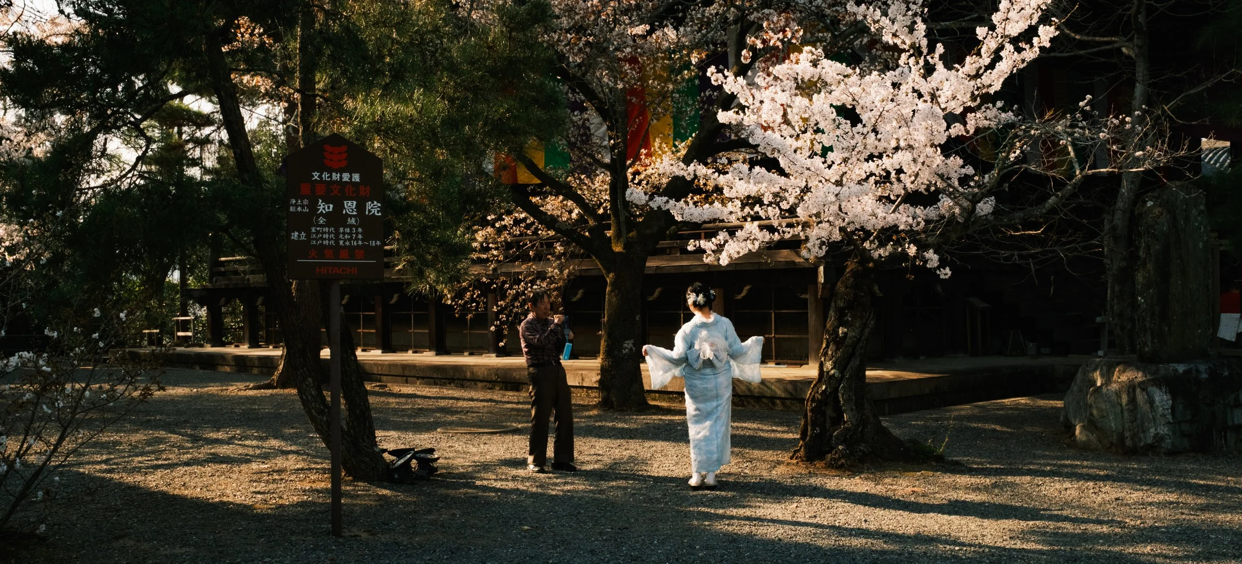 Hanami-7291.jpg