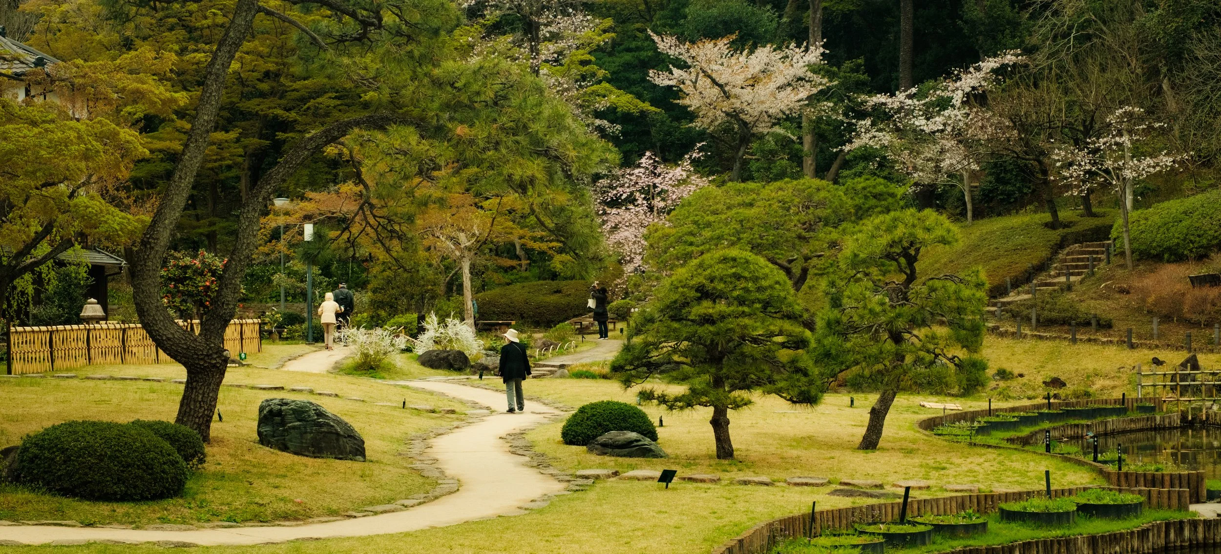 Hanami-2421.jpg
