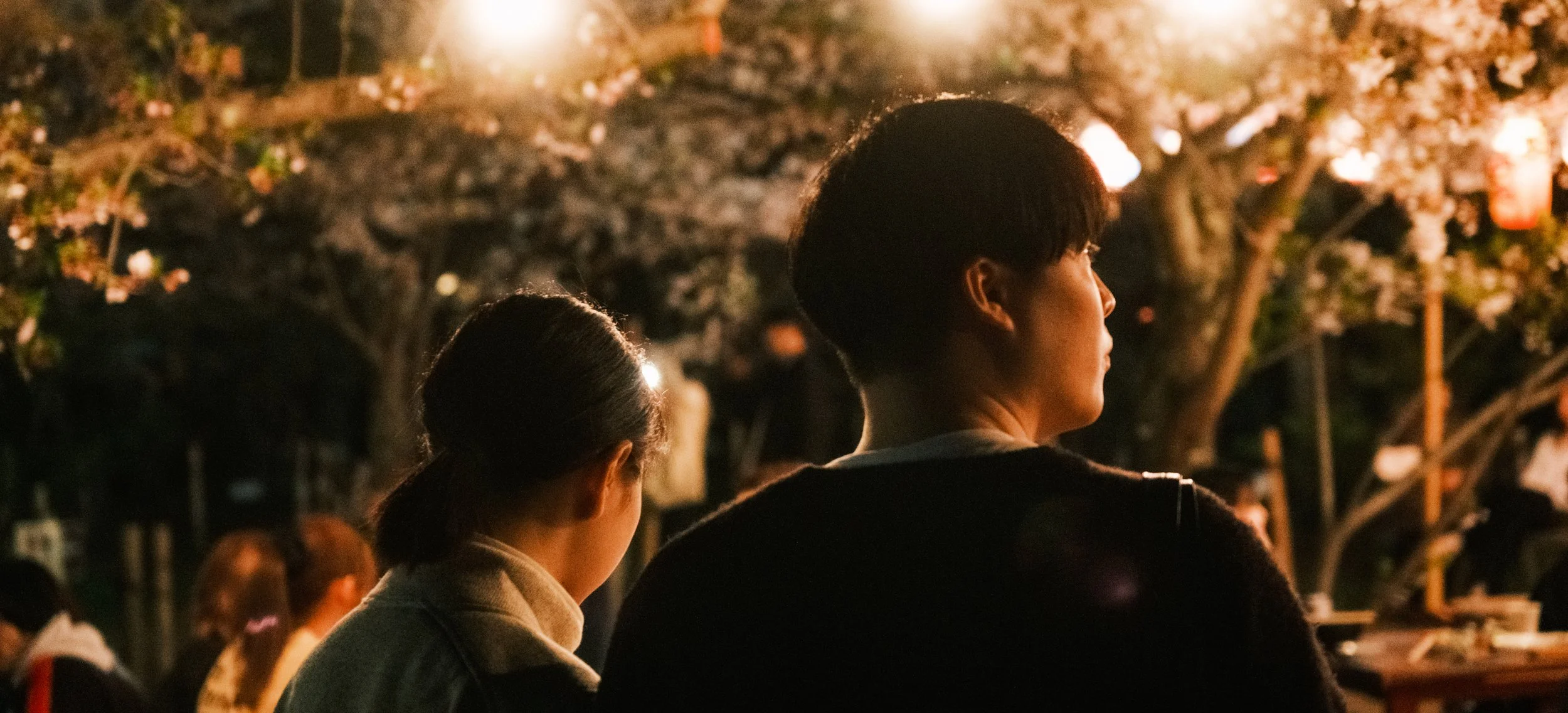 Hanami-9777.jpg