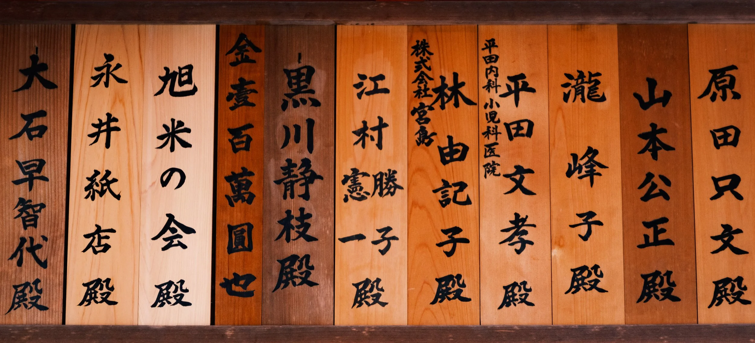 Hanami-3492.jpg