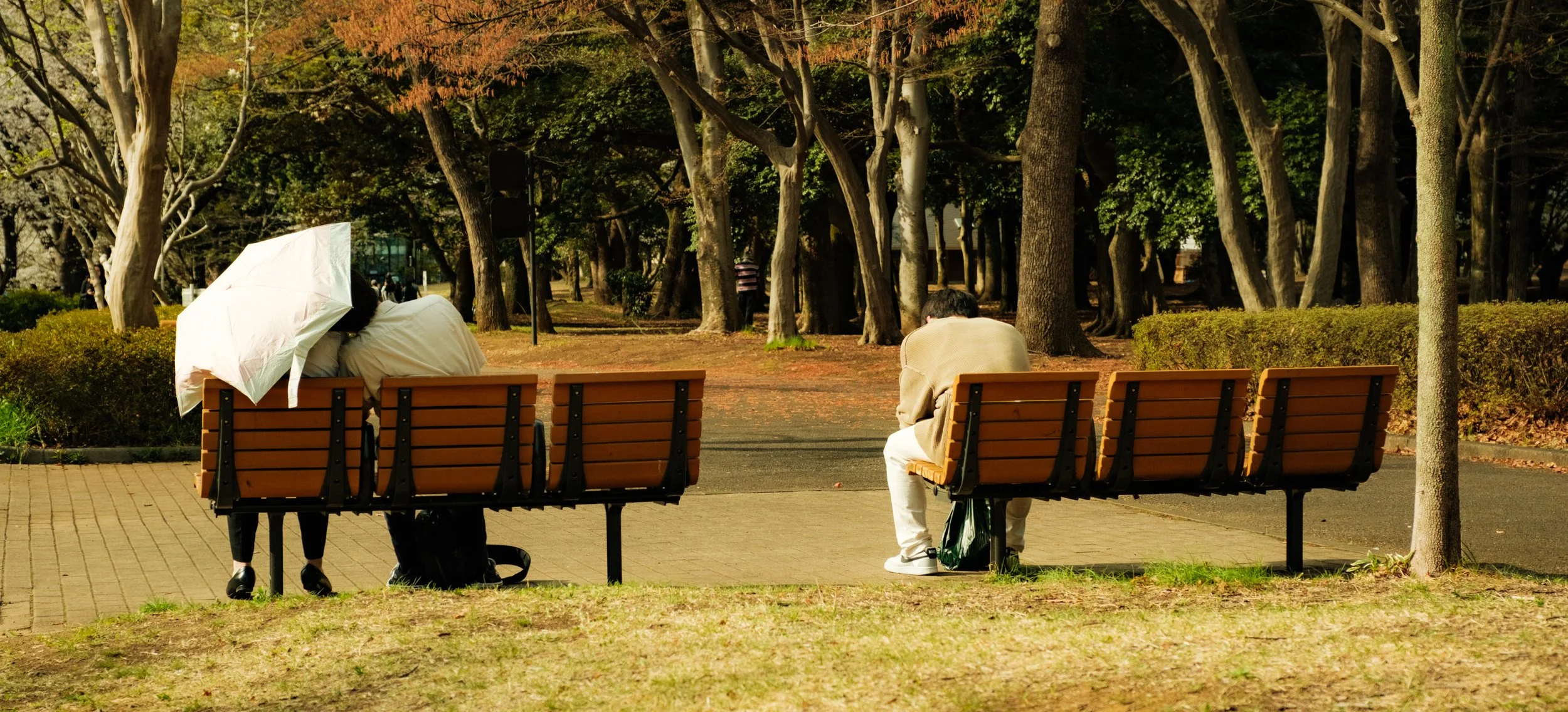 Hanami-712.jpg
