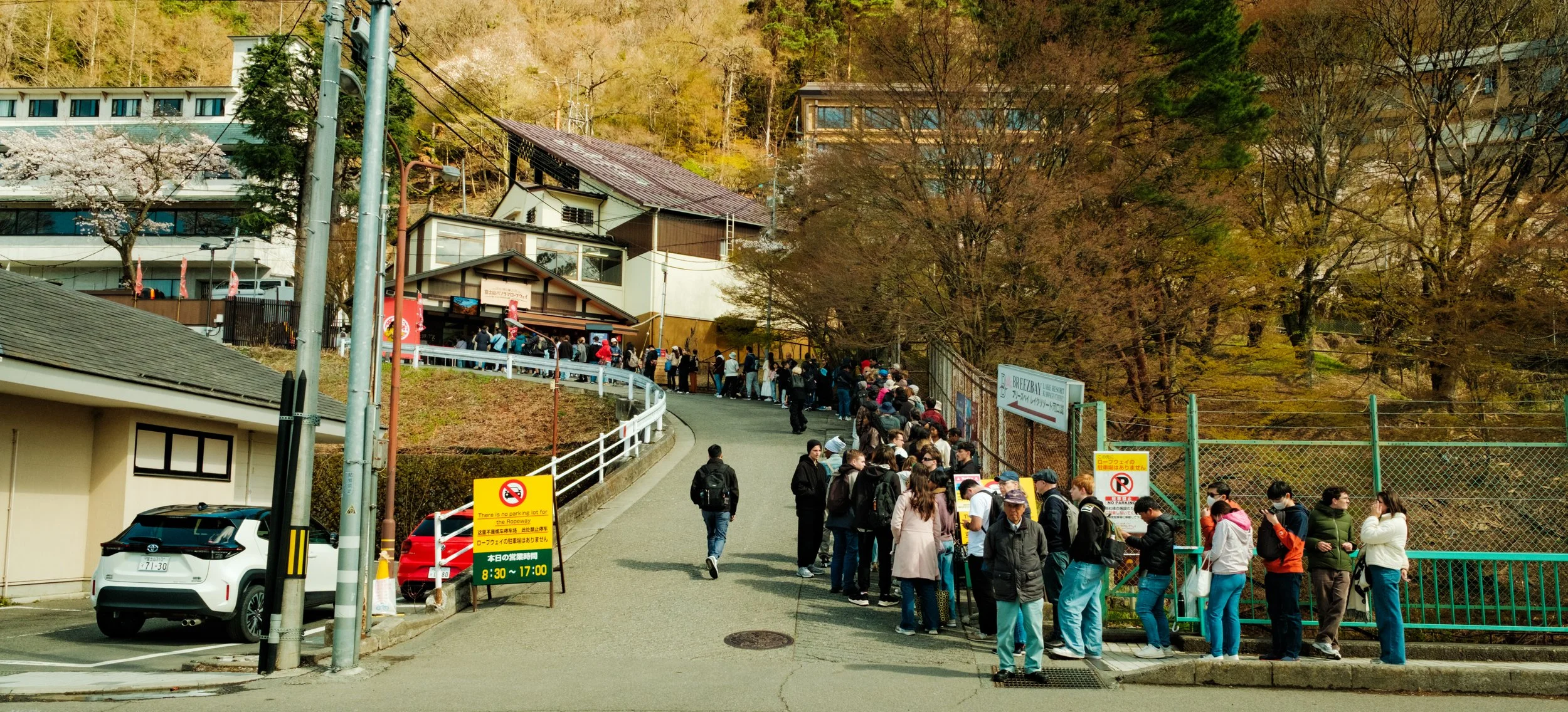 Hanami-11369.jpg