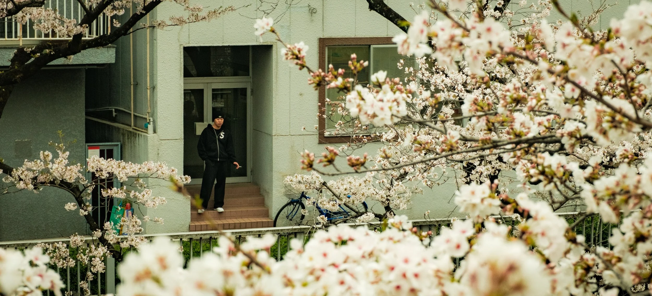 Hanami-2369.jpg