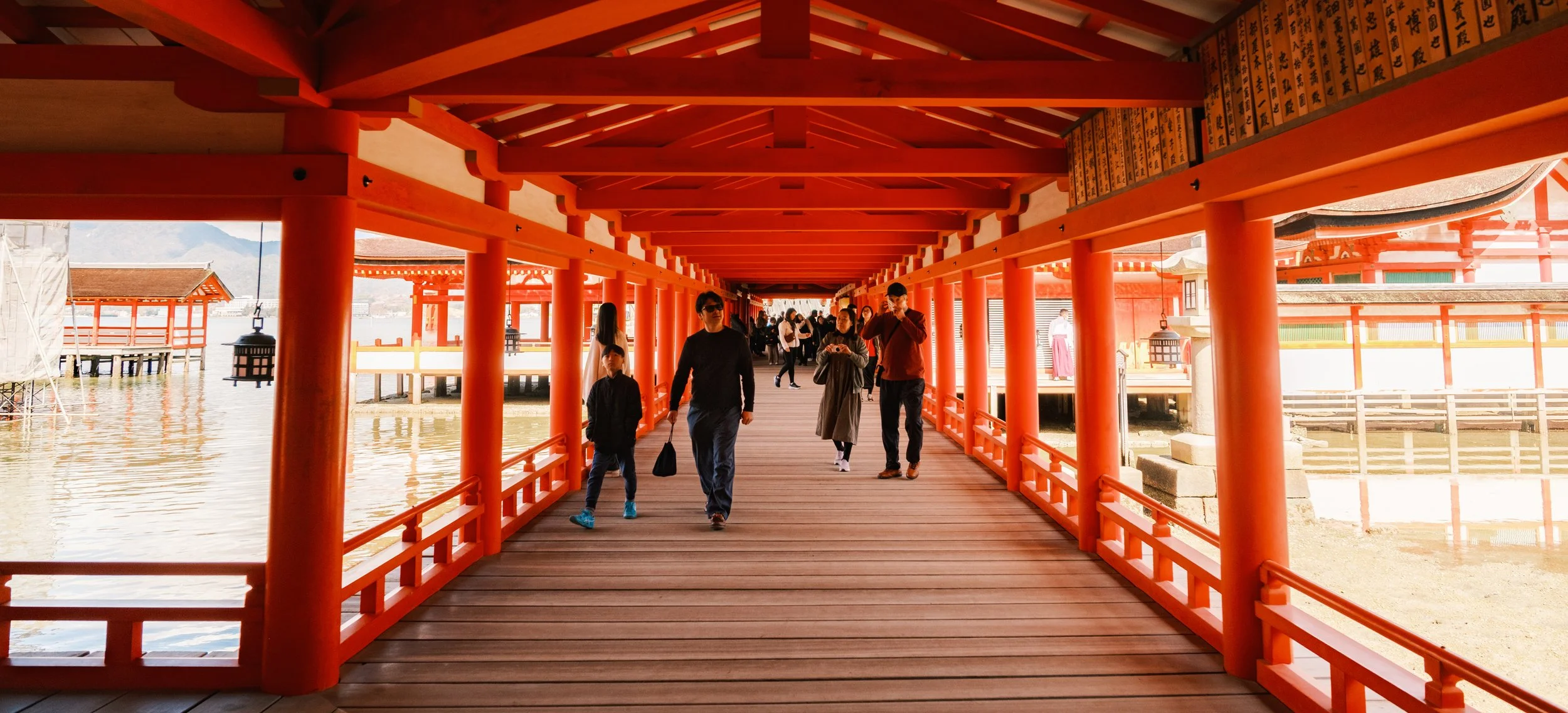 Hanami-3496.jpg