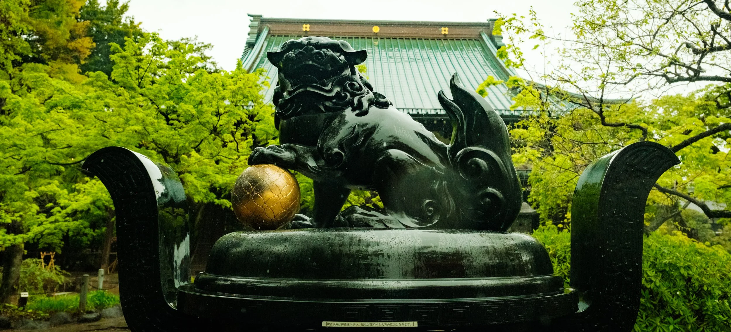 Hanami-10436.jpg