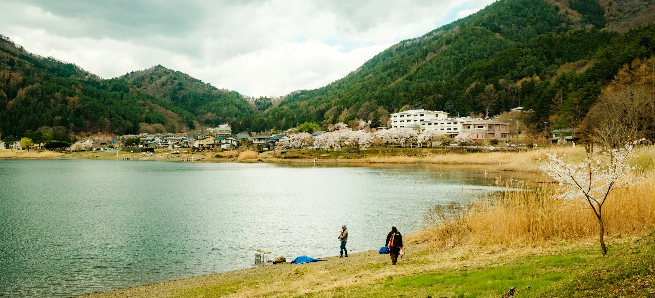 Hanami-11268.jpg