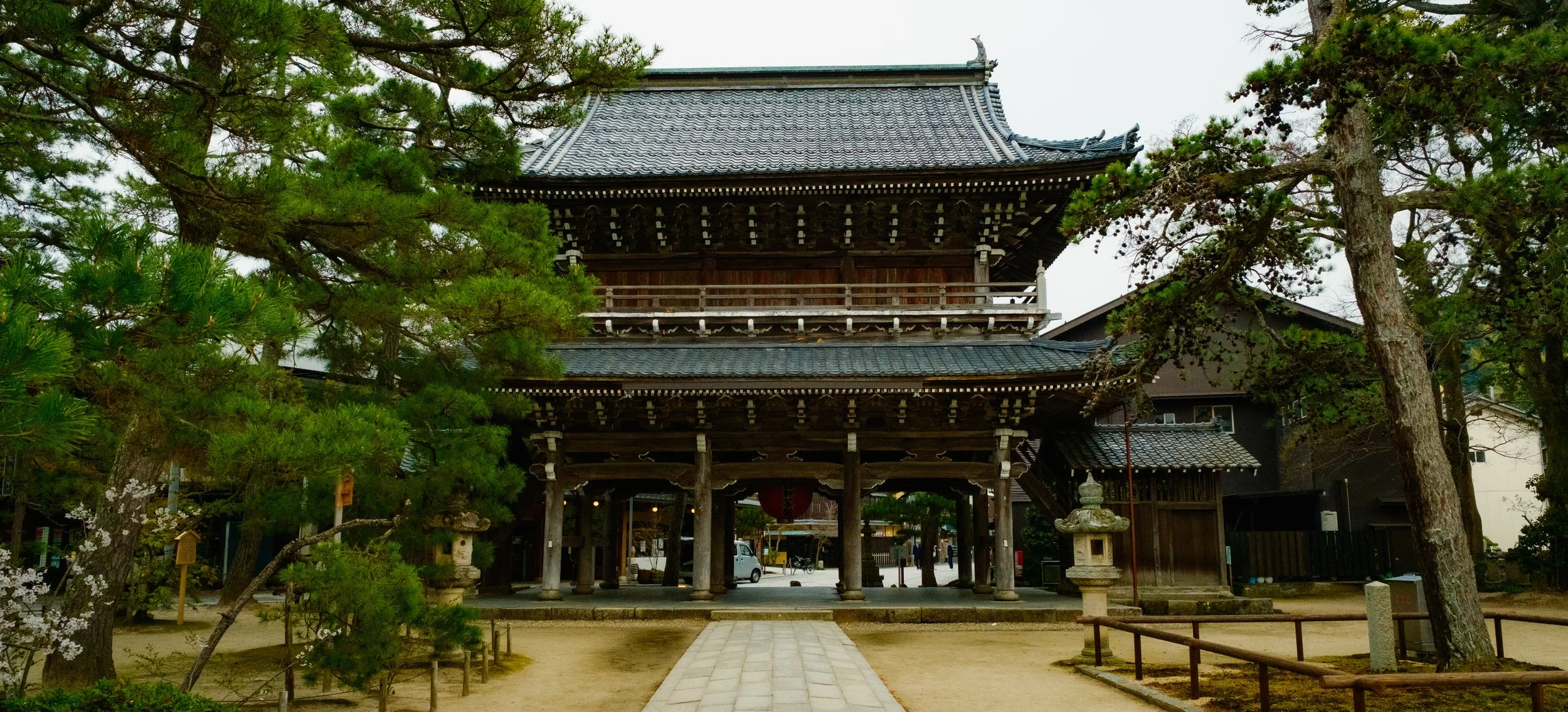 Hanami-9227.jpg