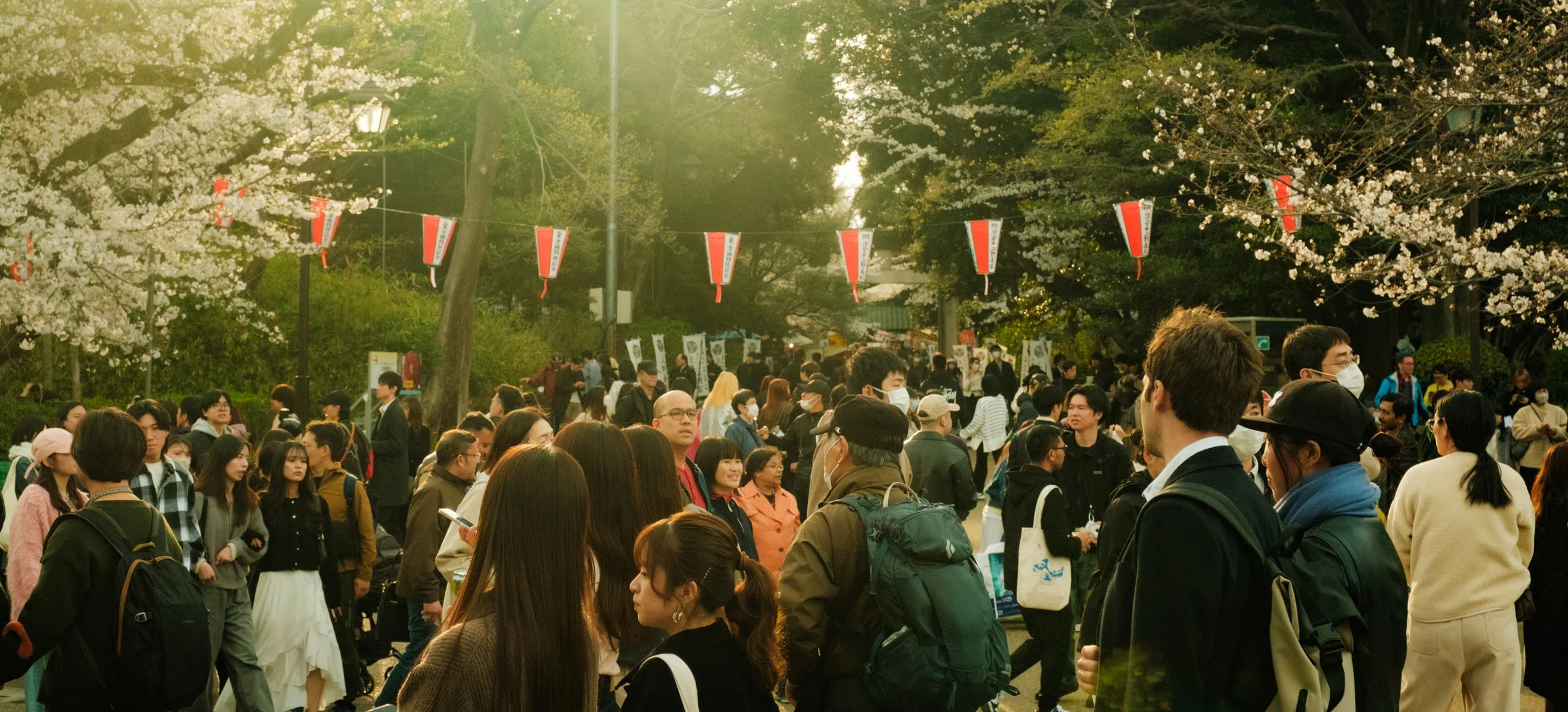 Hanami-2069.jpg