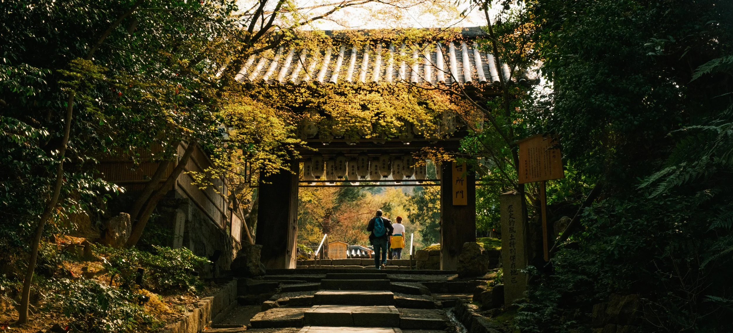 Hanami-6691.jpg