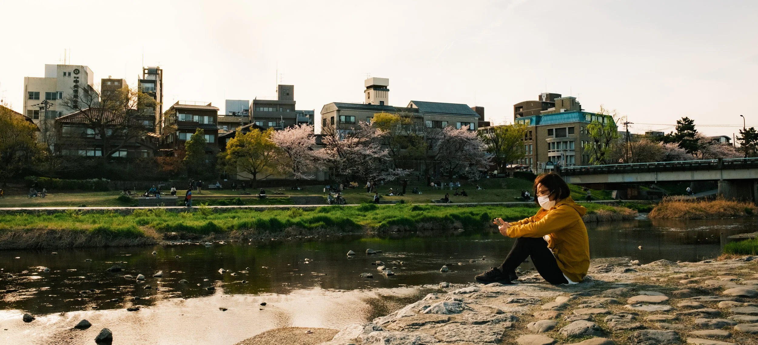 Hanami-8414.jpg