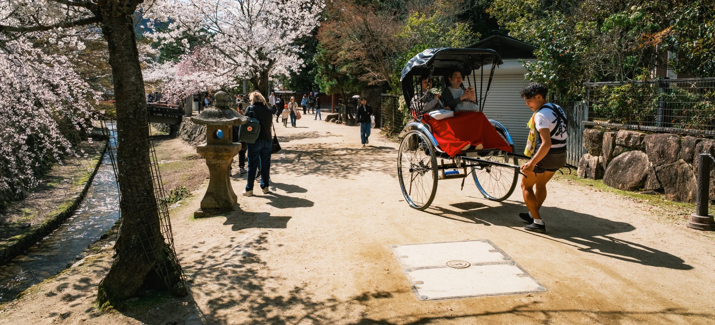 Hanami-3752.jpg